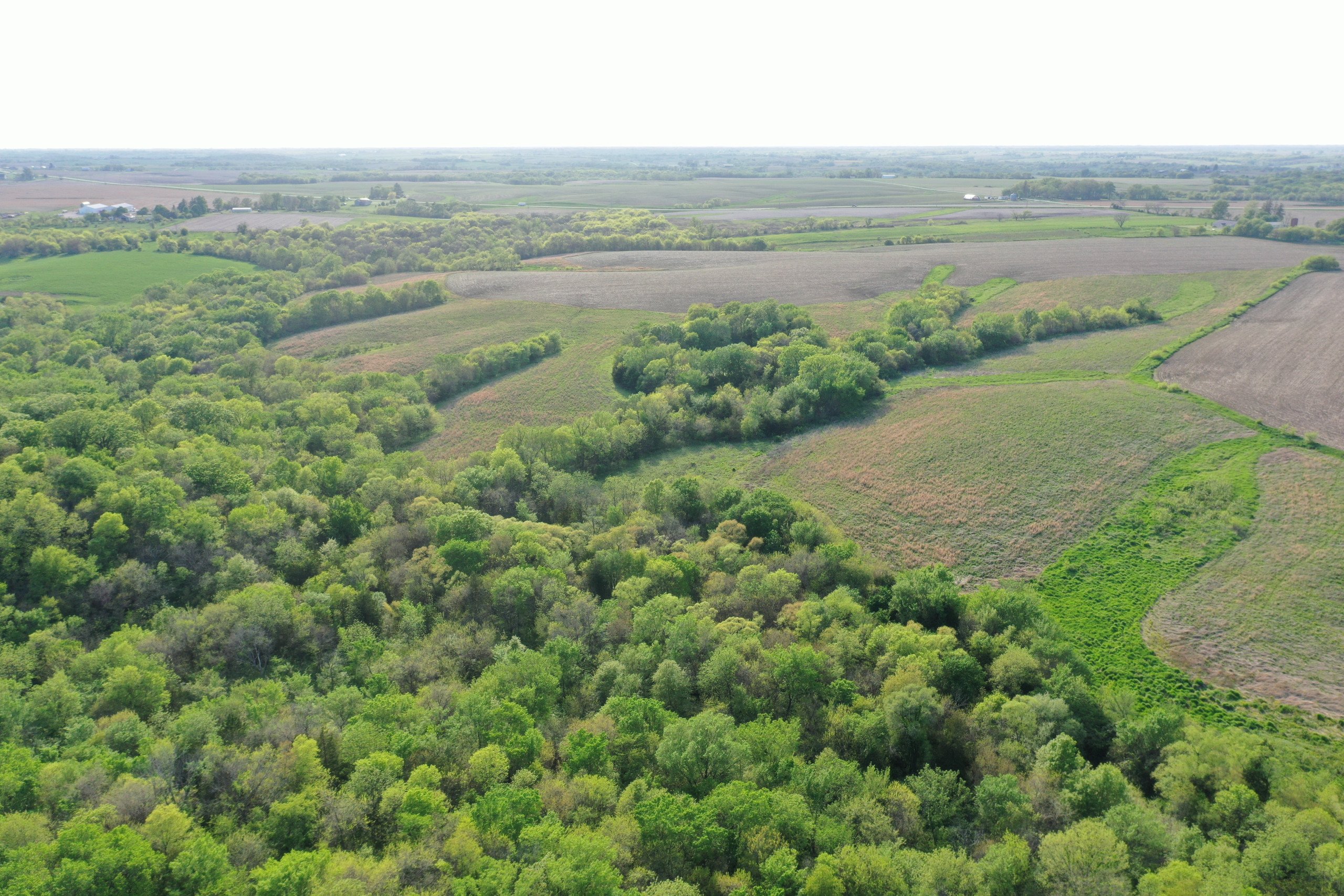 land-marion-county-iowa-155-acres-listing-number-16634-DJI_0391-0.jpg