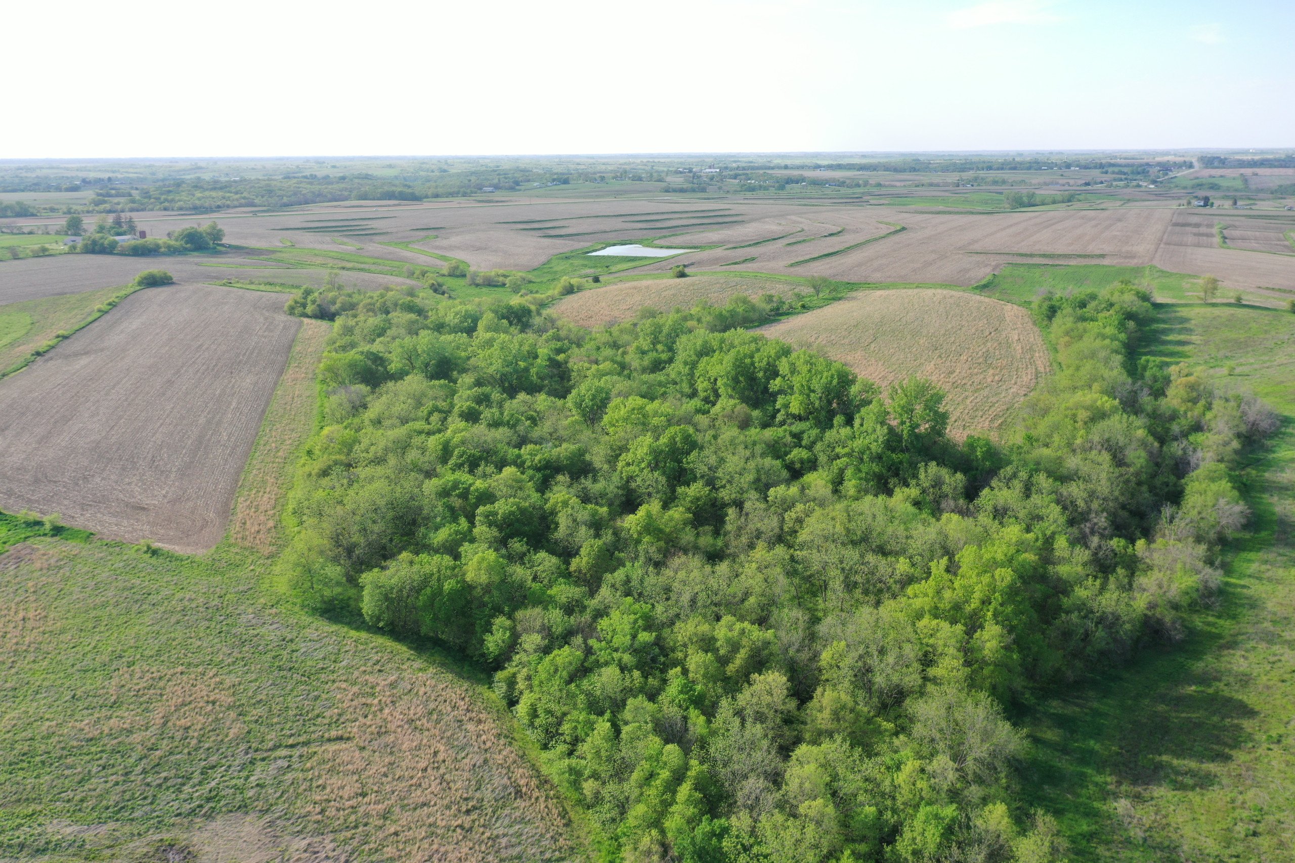 land-marion-county-iowa-155-acres-listing-number-16634-DJI_0395-2.jpg