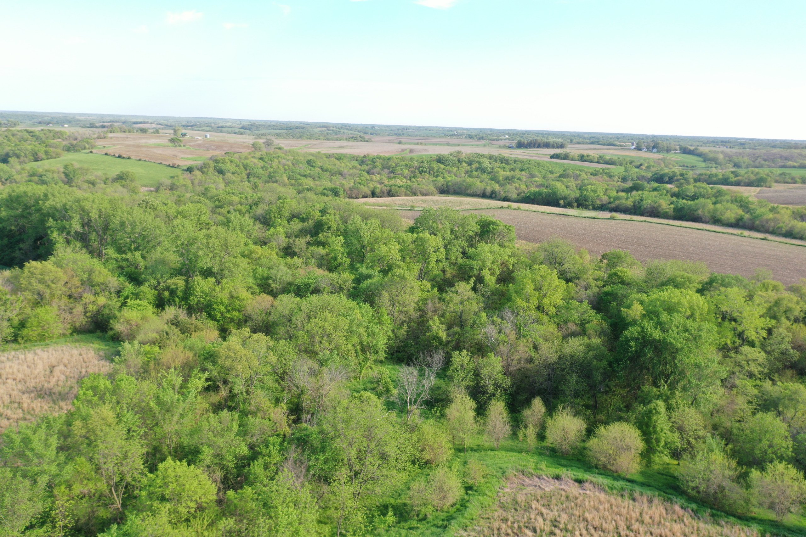 land-marion-county-iowa-155-acres-listing-number-16634-DJI_0405-3.jpg