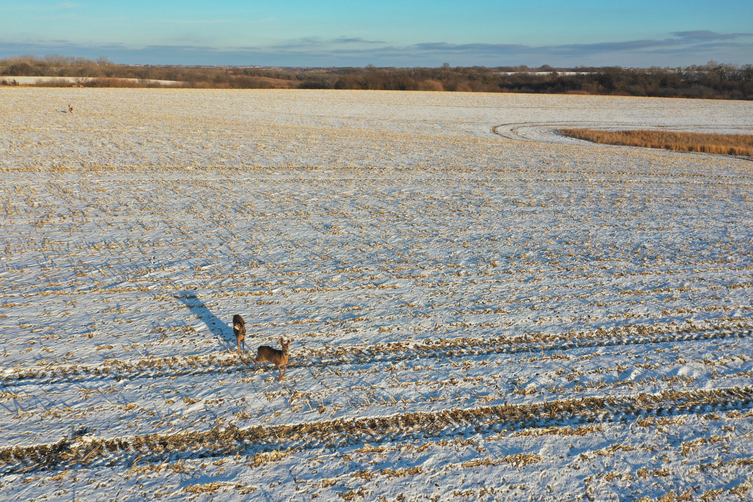 land-marion-county-iowa-155-acres-listing-number-16634-DJI_0932-3.jpg