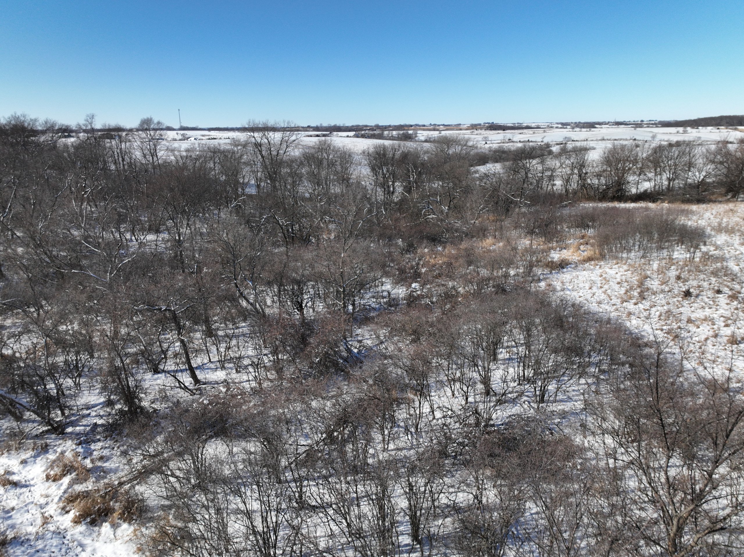 land-madison-county-iowa-160-acres-listing-number-16635-DJI_0030-4.jpg