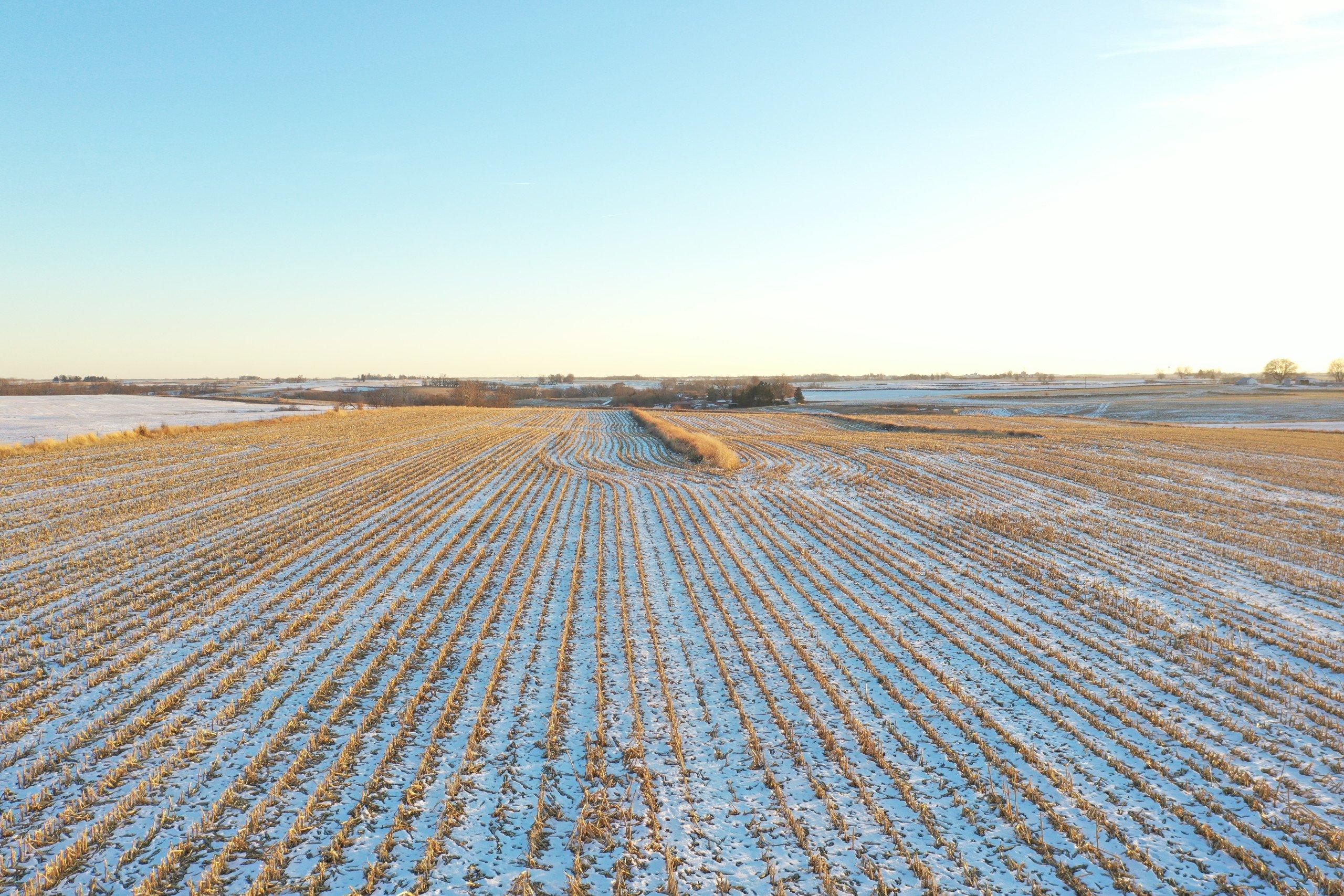 auctions-land-marion-county-iowa-75-acres-listing-number-16639-DJI_0014-1.jpg