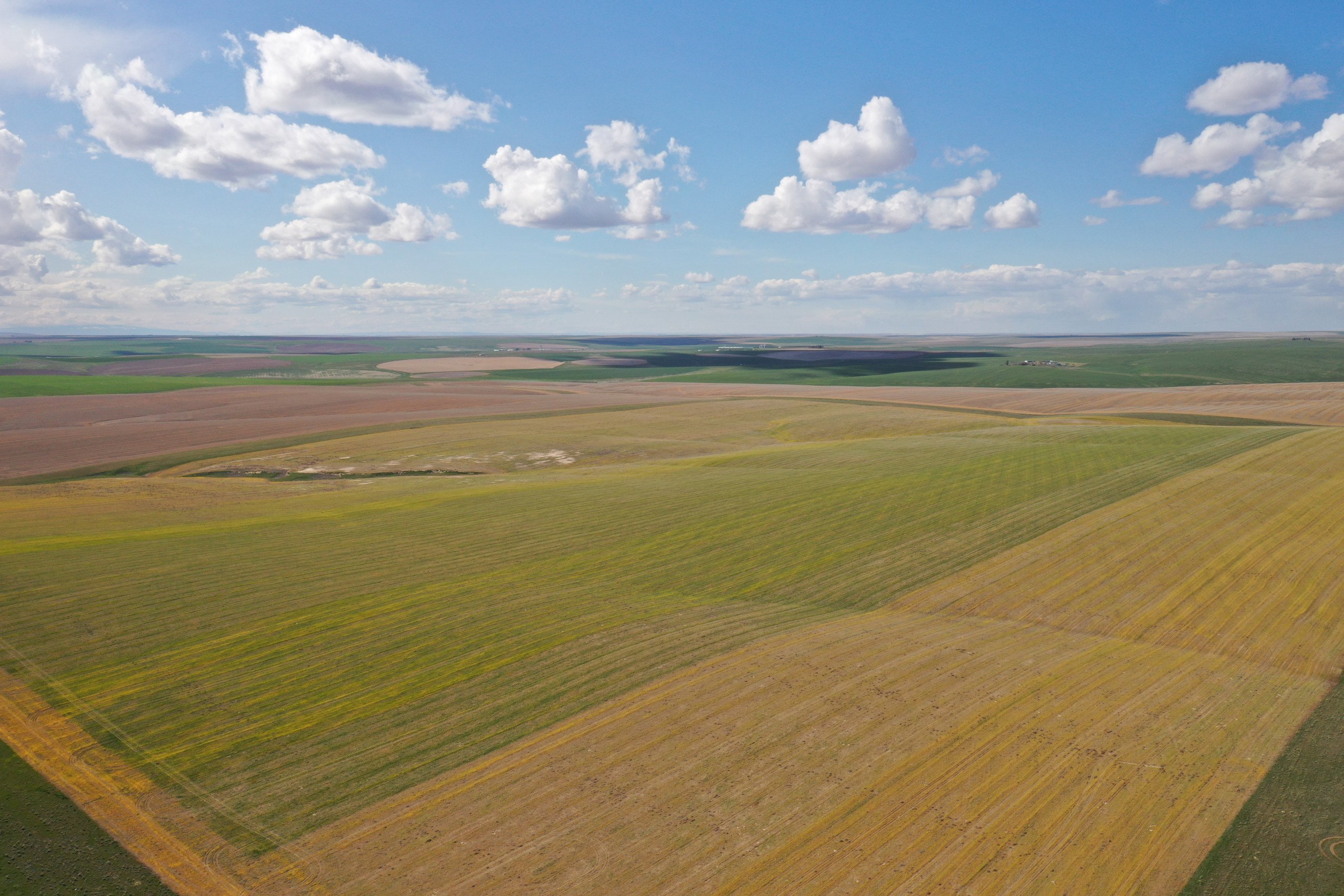 adams-county-washington-2207-acres-listing-number-16644-DJI_0171-0.jpg