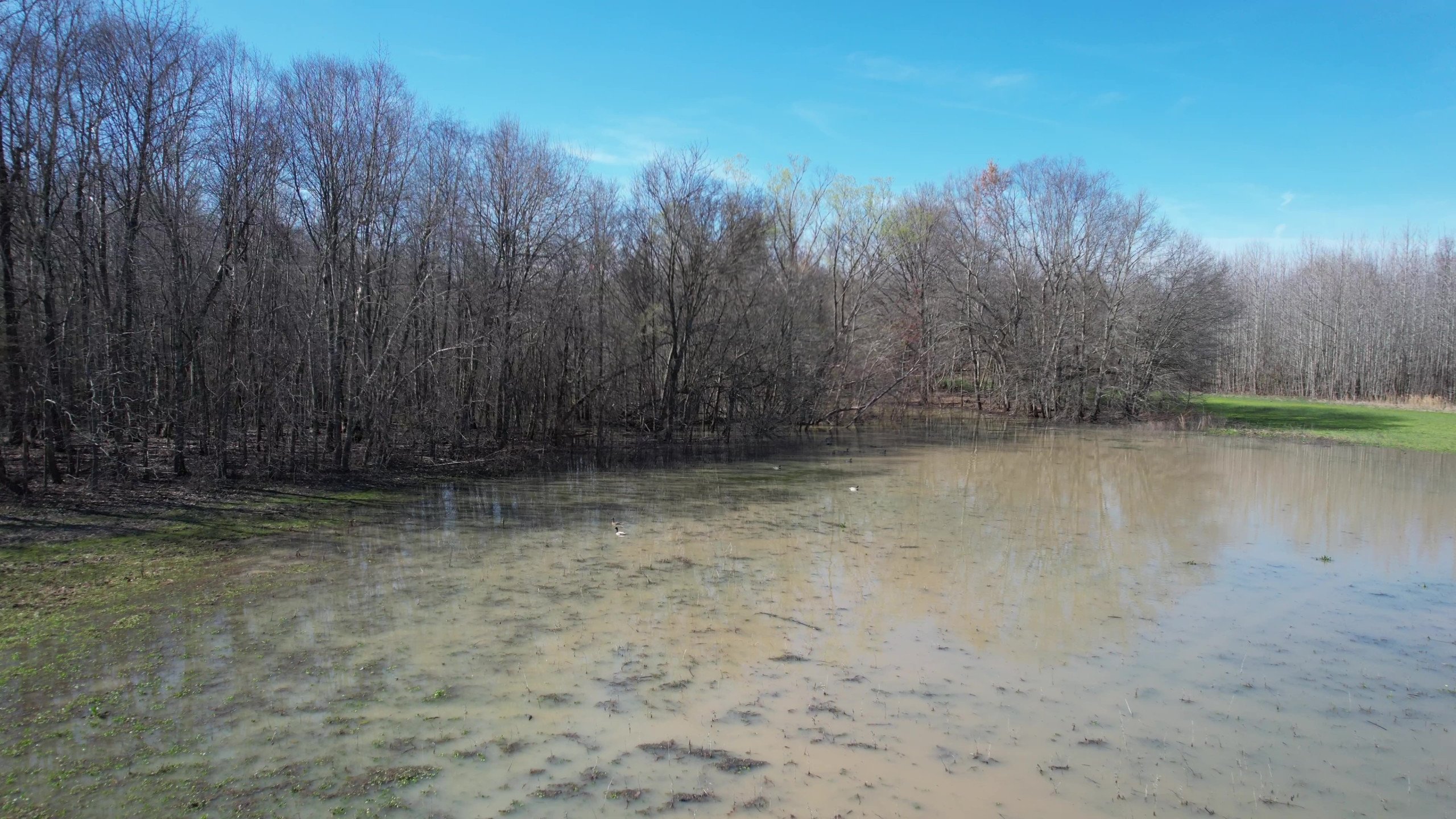 Craighead County, Arkansas Duck Hunting Land For Sale