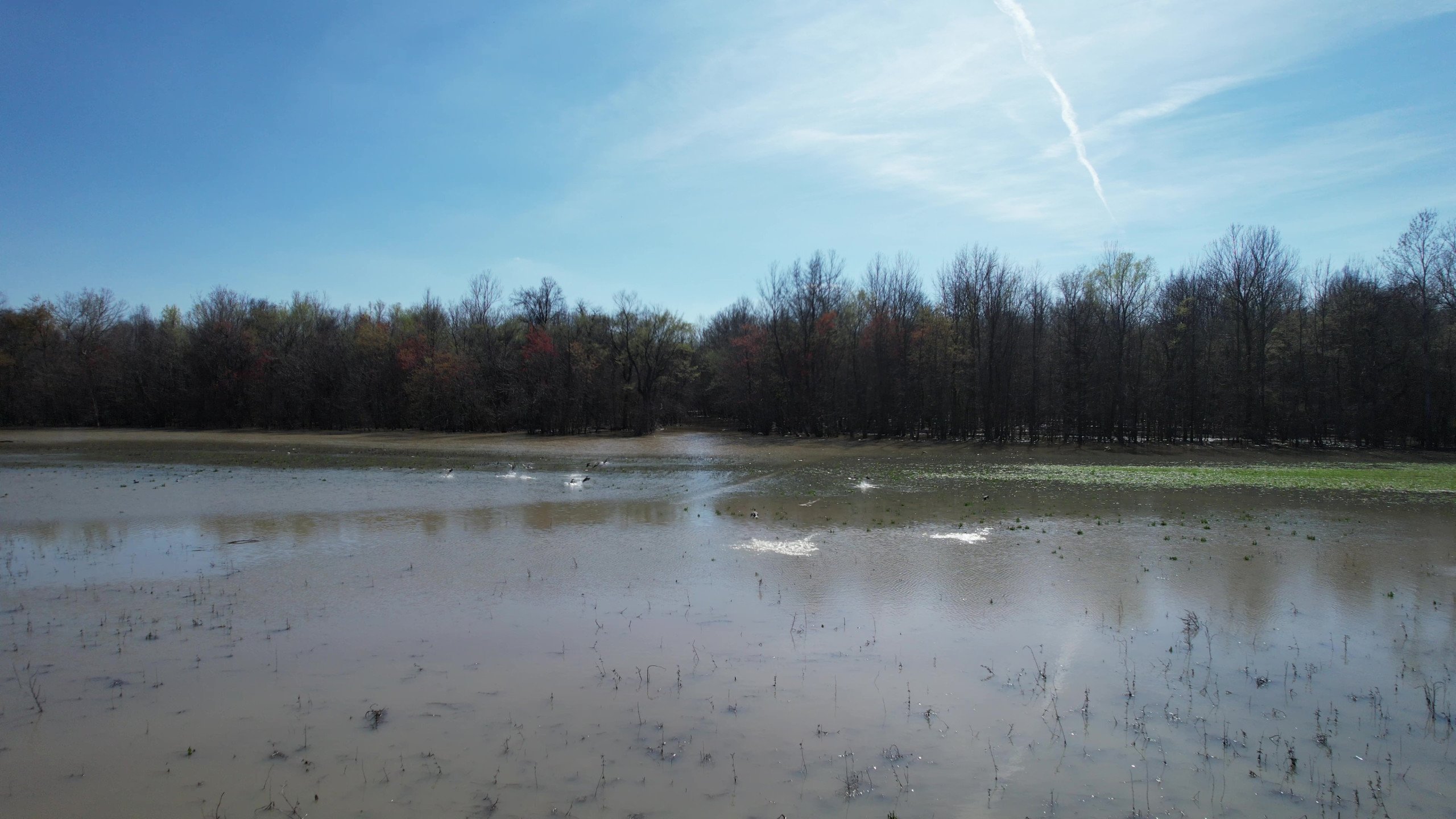 Craighead County, Arkansas Duck Hunting Land For Sale