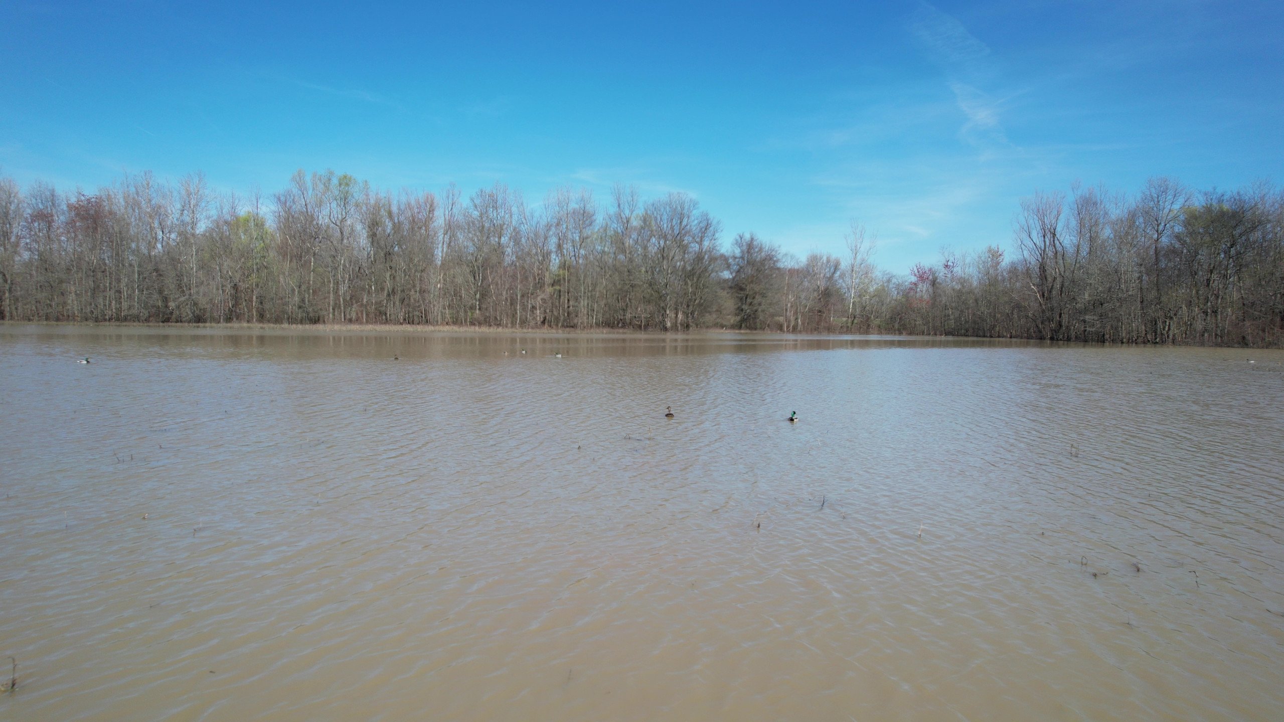 Craighead County, Arkansas Duck Hunting Land For Sale