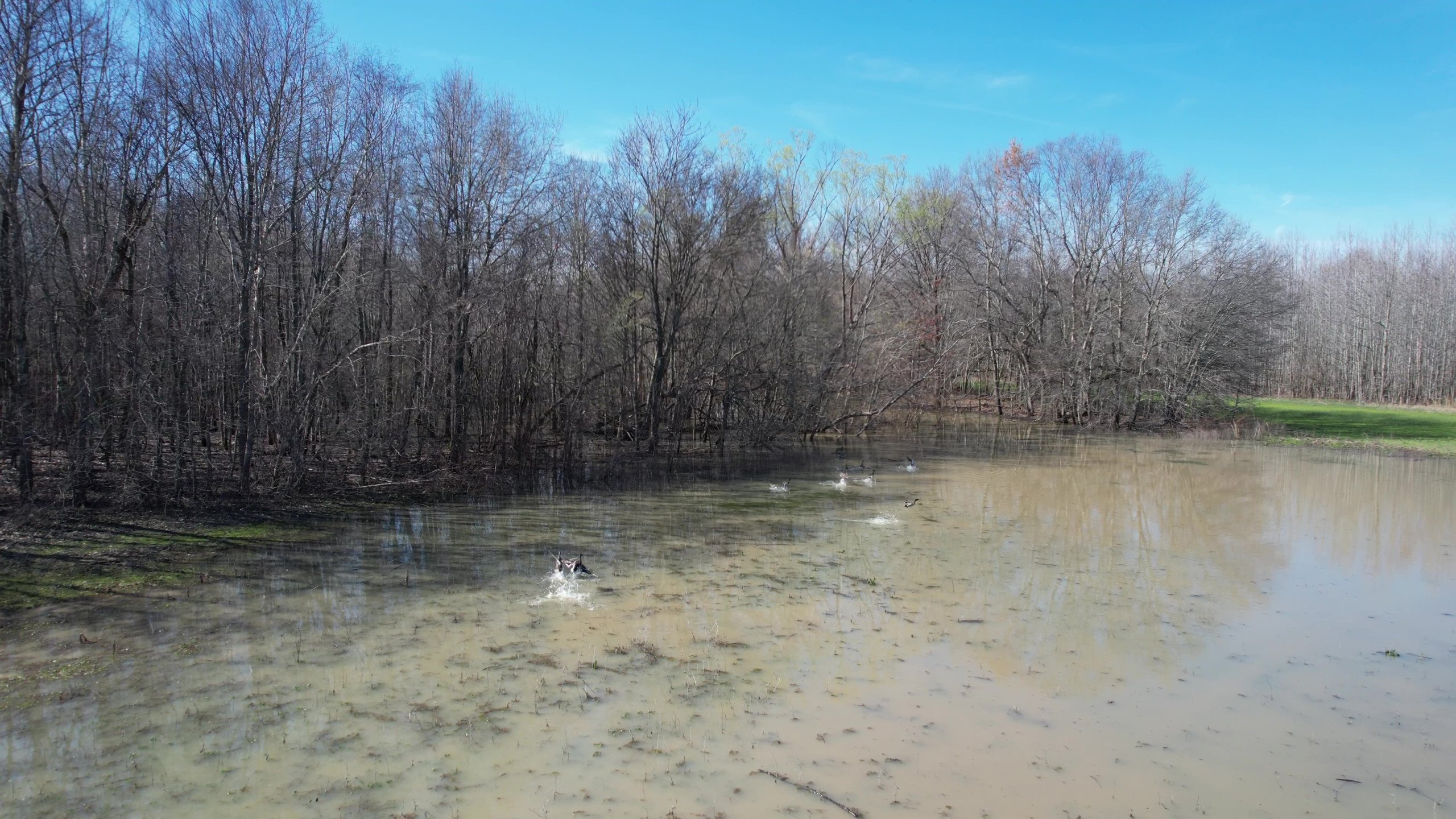 Craighead County, Arkansas Duck Hunting Land For Sale