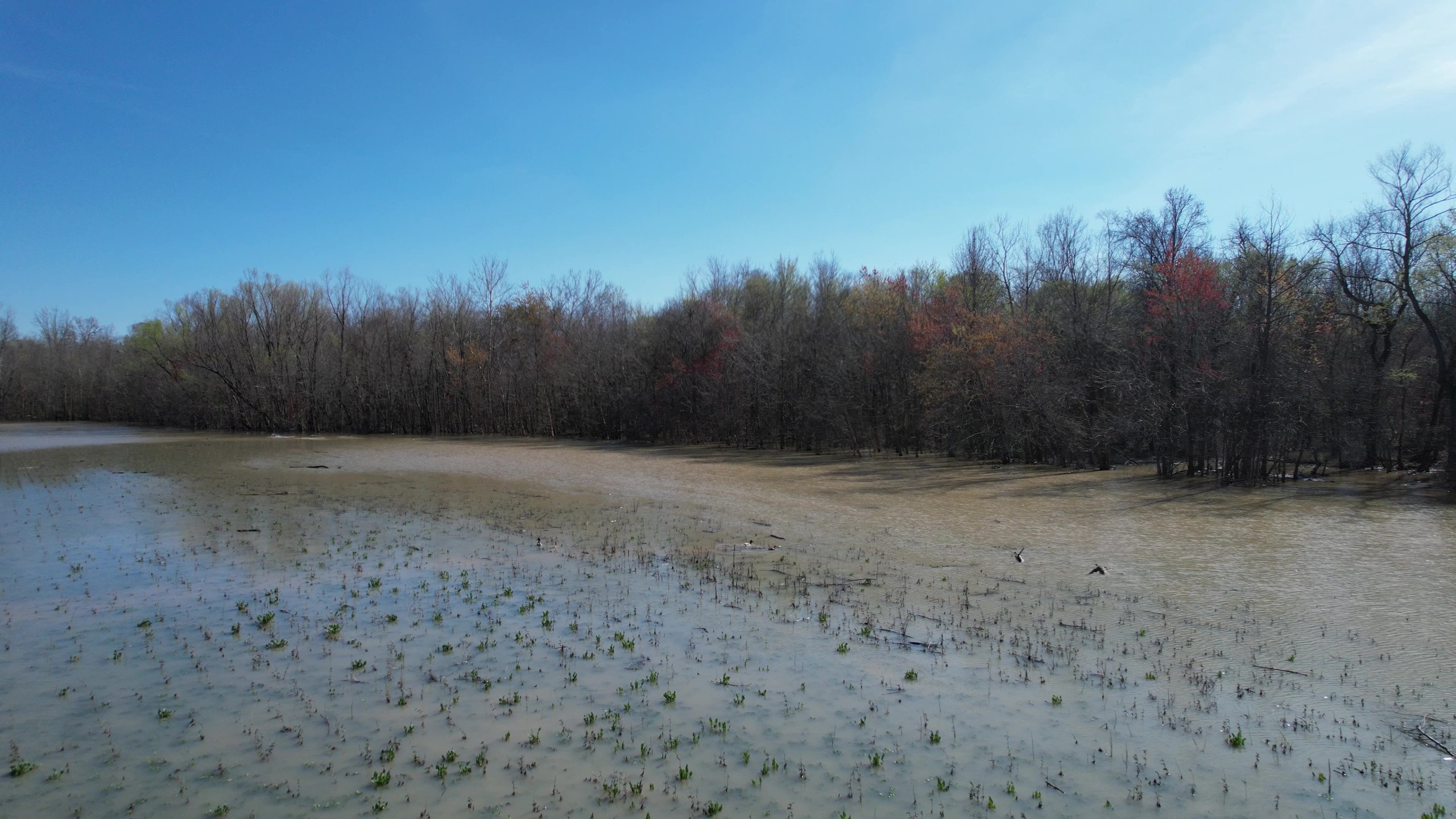 Craighead County, Arkansas Duck Hunting Land For Sale