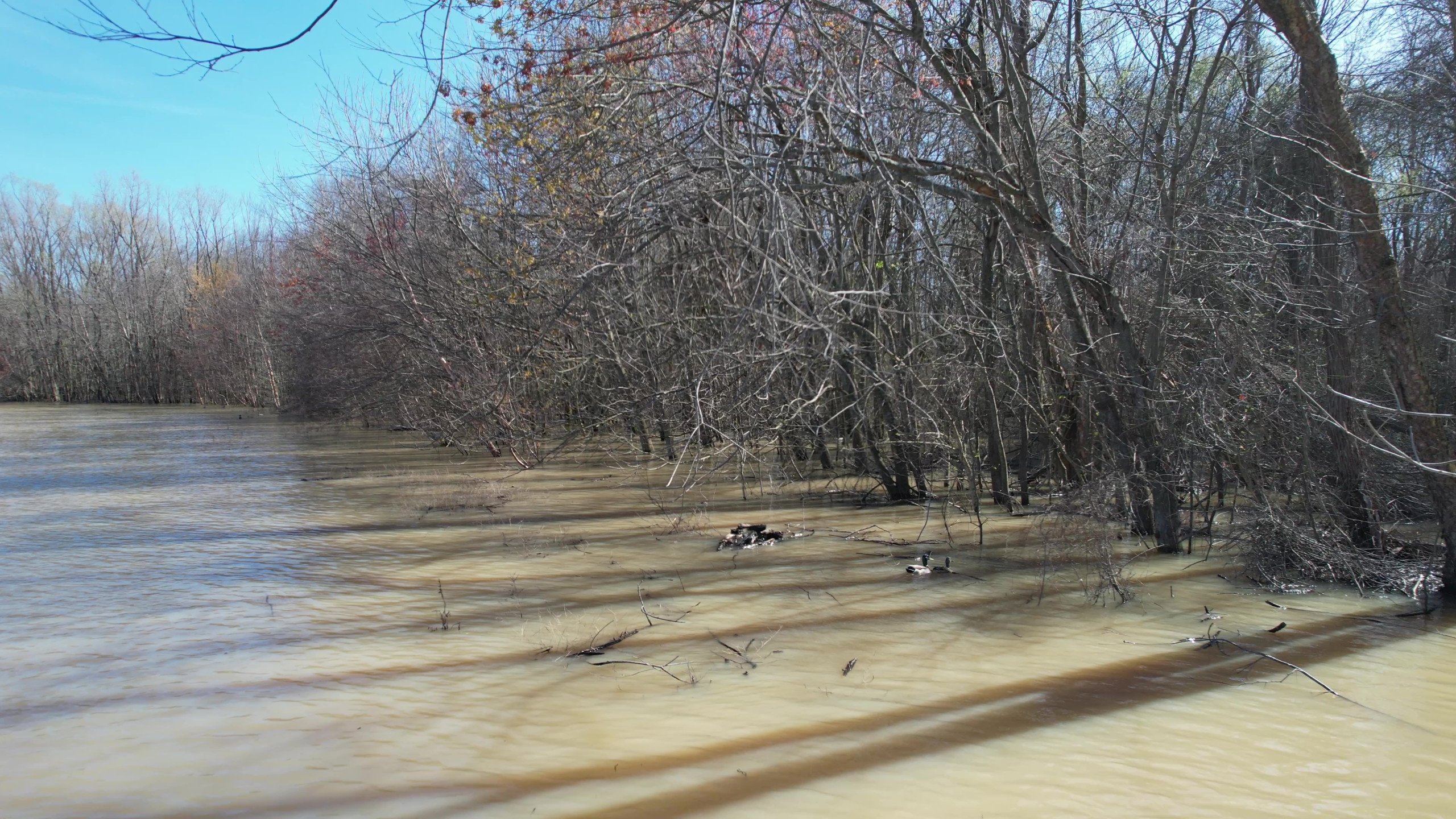 Craighead County, Arkansas Duck Hunting Land For Sale