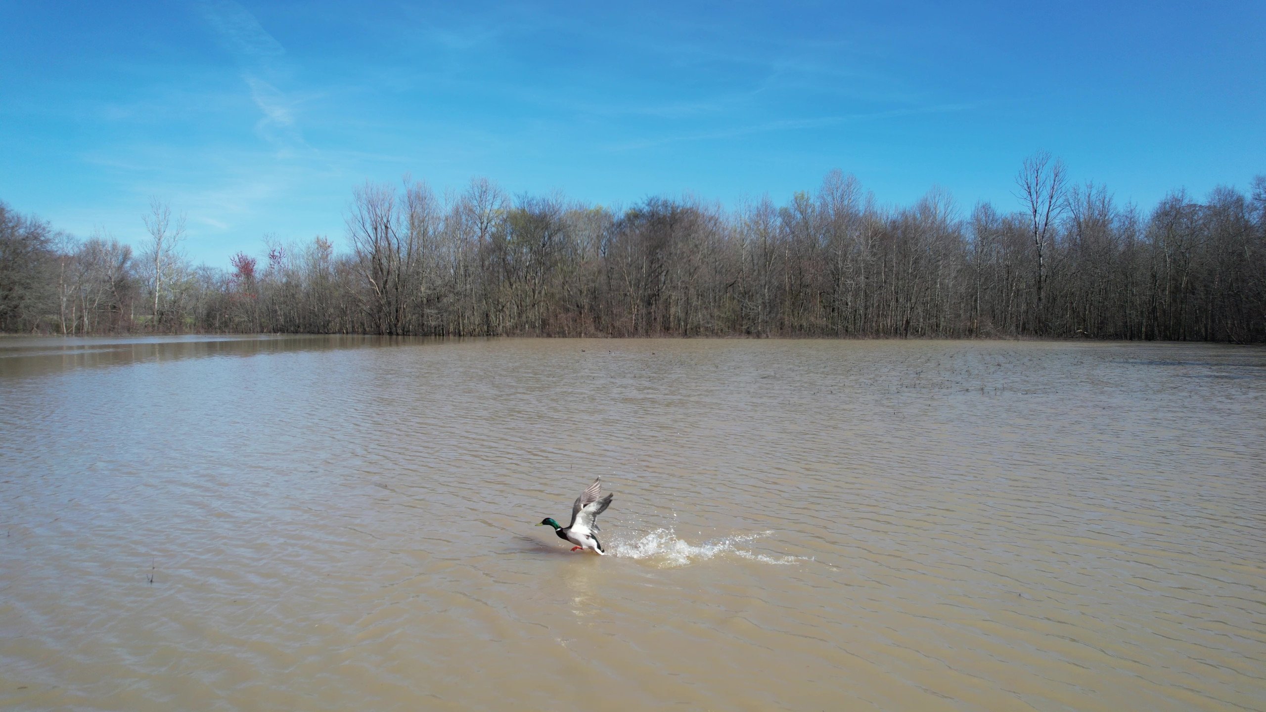 Craighead County, Arkansas Duck Hunting Land For Sale