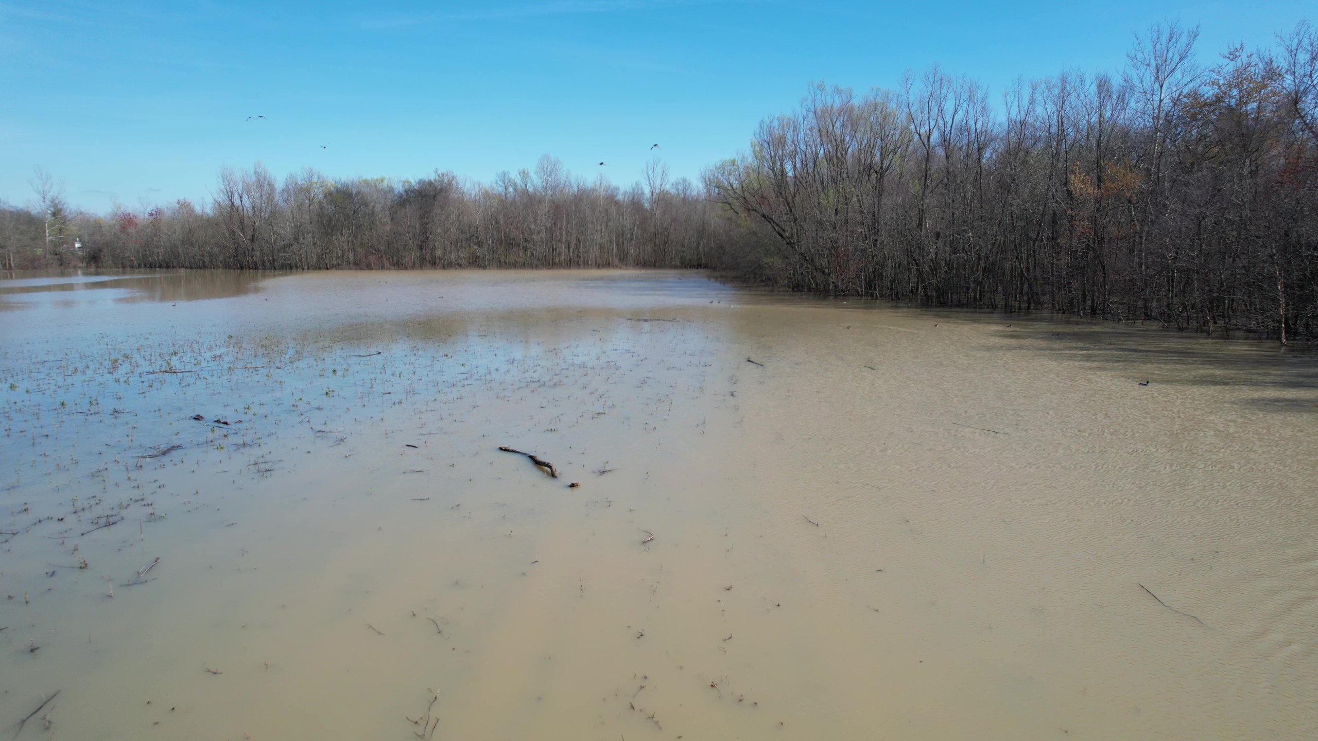 Craighead County, Arkansas Duck Hunting Land For Sale