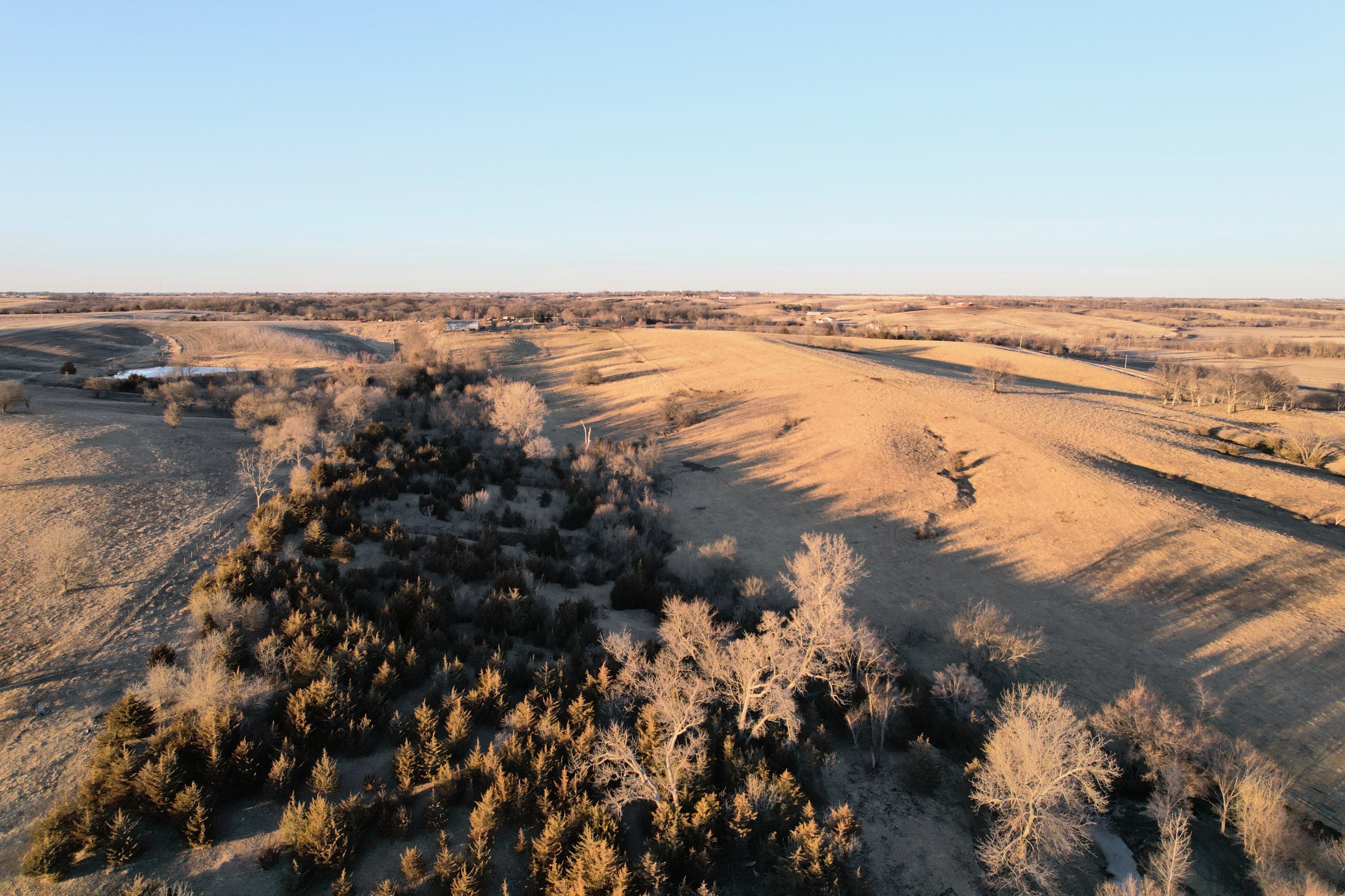 land-clarke-county-iowa-65-acres-listing-number-16654-19DBC67F-7090-46AB-A648-9B99EB2BF5BB-3.jpg