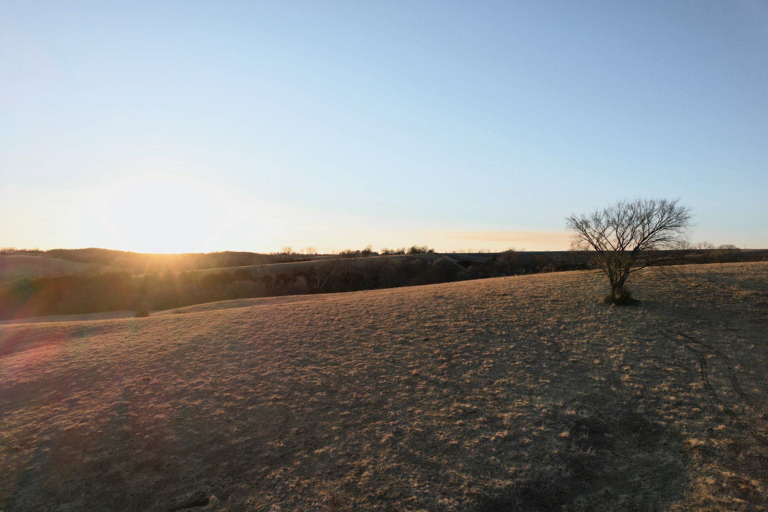 land-clarke-county-iowa-65-acres-listing-number-16654-20412AF4-A58C-4AAE-BDF9-D3C4D5644291-0.jpg