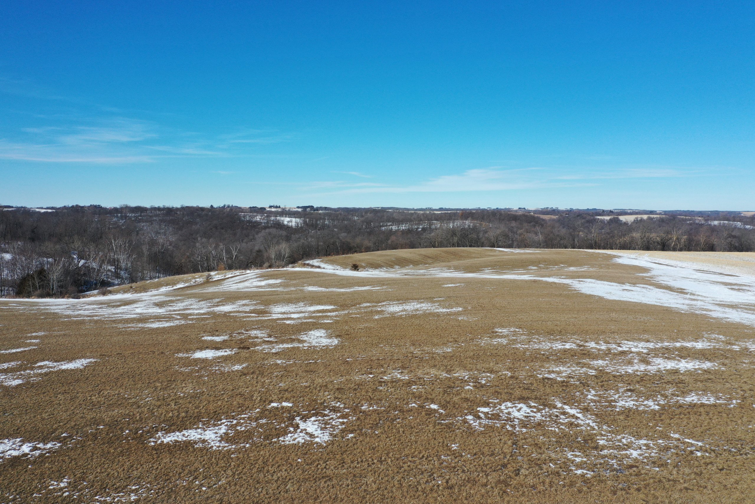 land-clayton-county-iowa-82-acres-listing-number-16660-DJI_0090-3.jpg