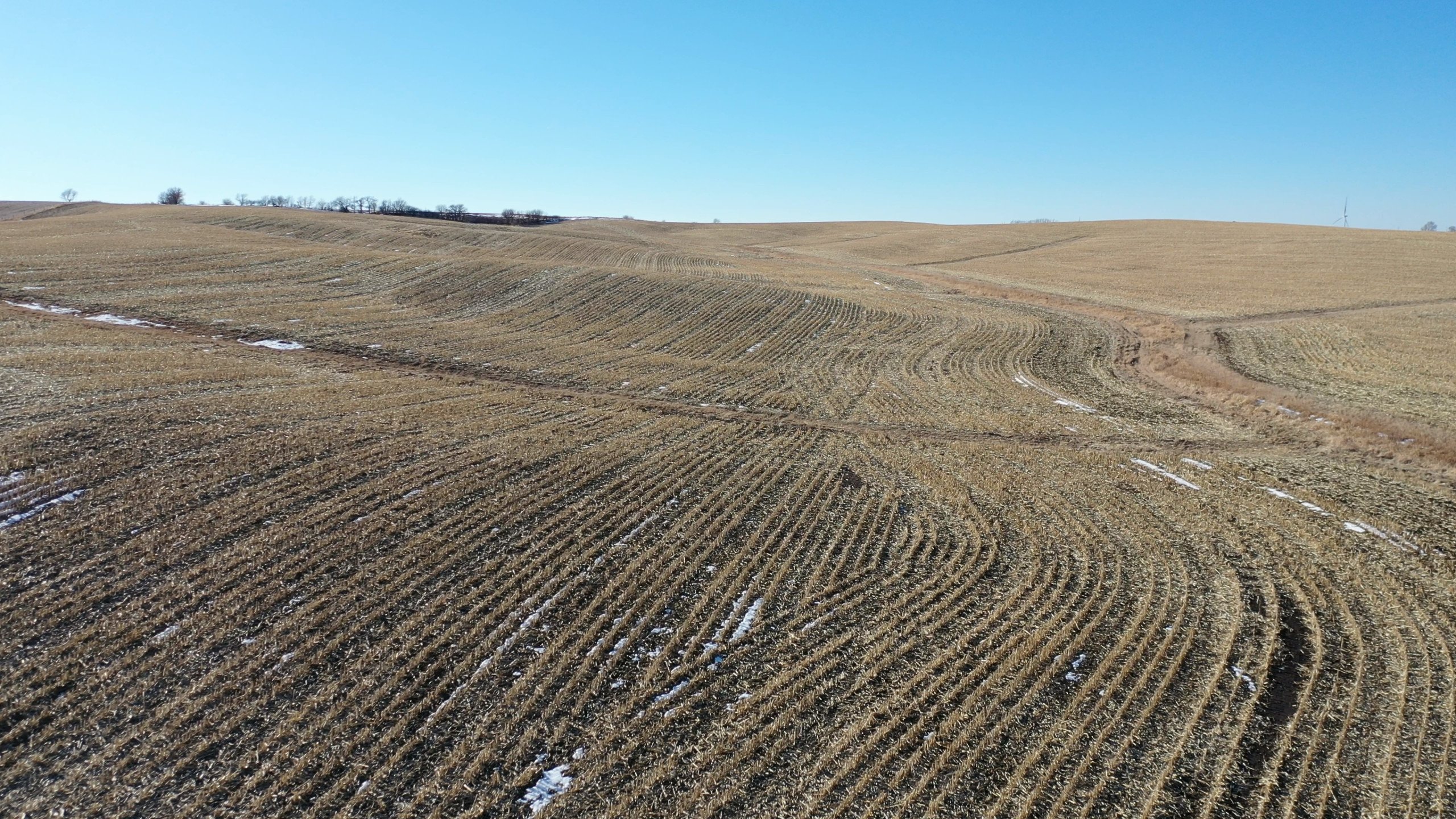 auctions-land-guthrie-county-iowa-80-acres-listing-number-16666-DJI_0536 - frame-3.jpg