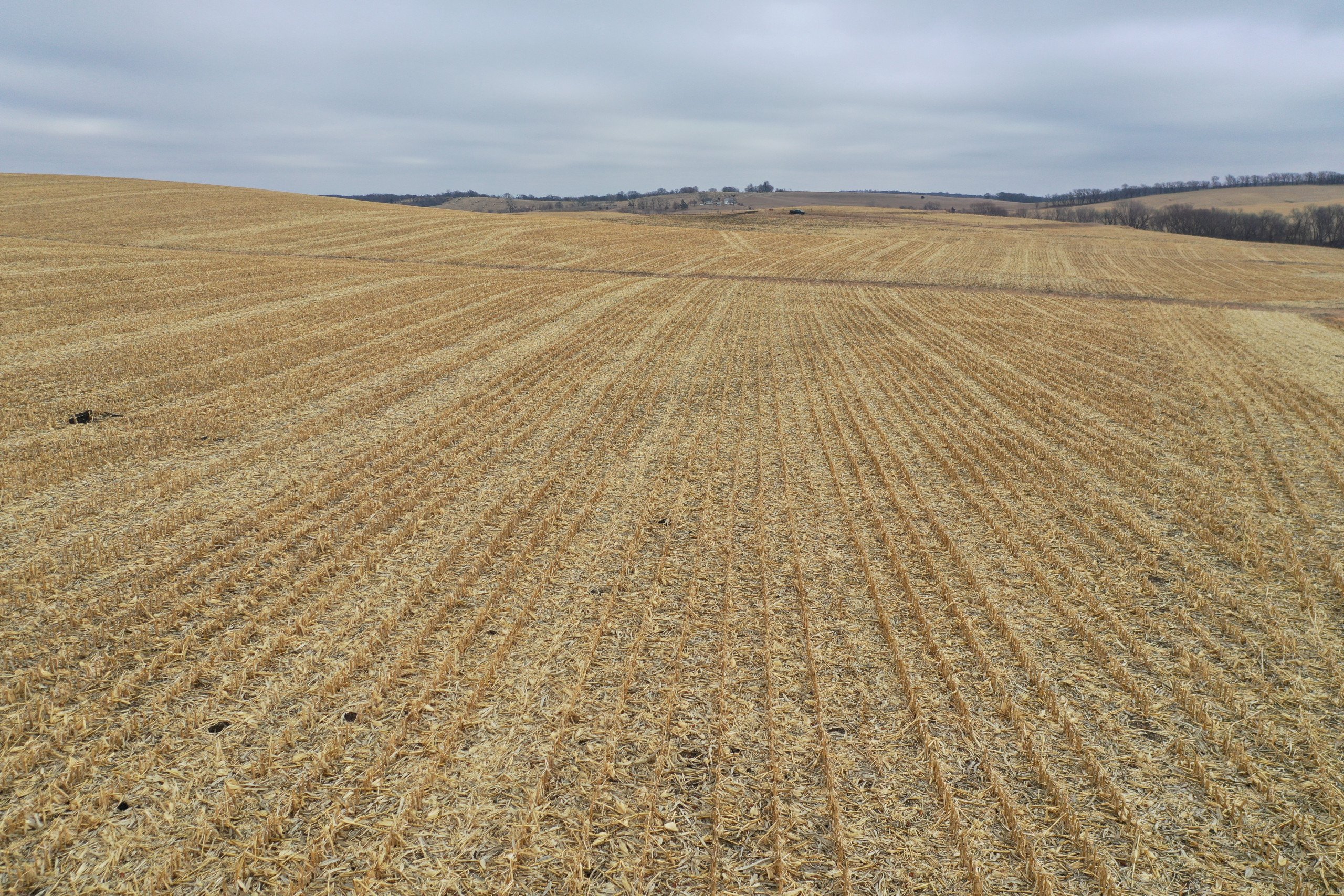 auctions-land-guthrie-county-iowa-80-acres-listing-number-16666-DJI_0801-4.jpg