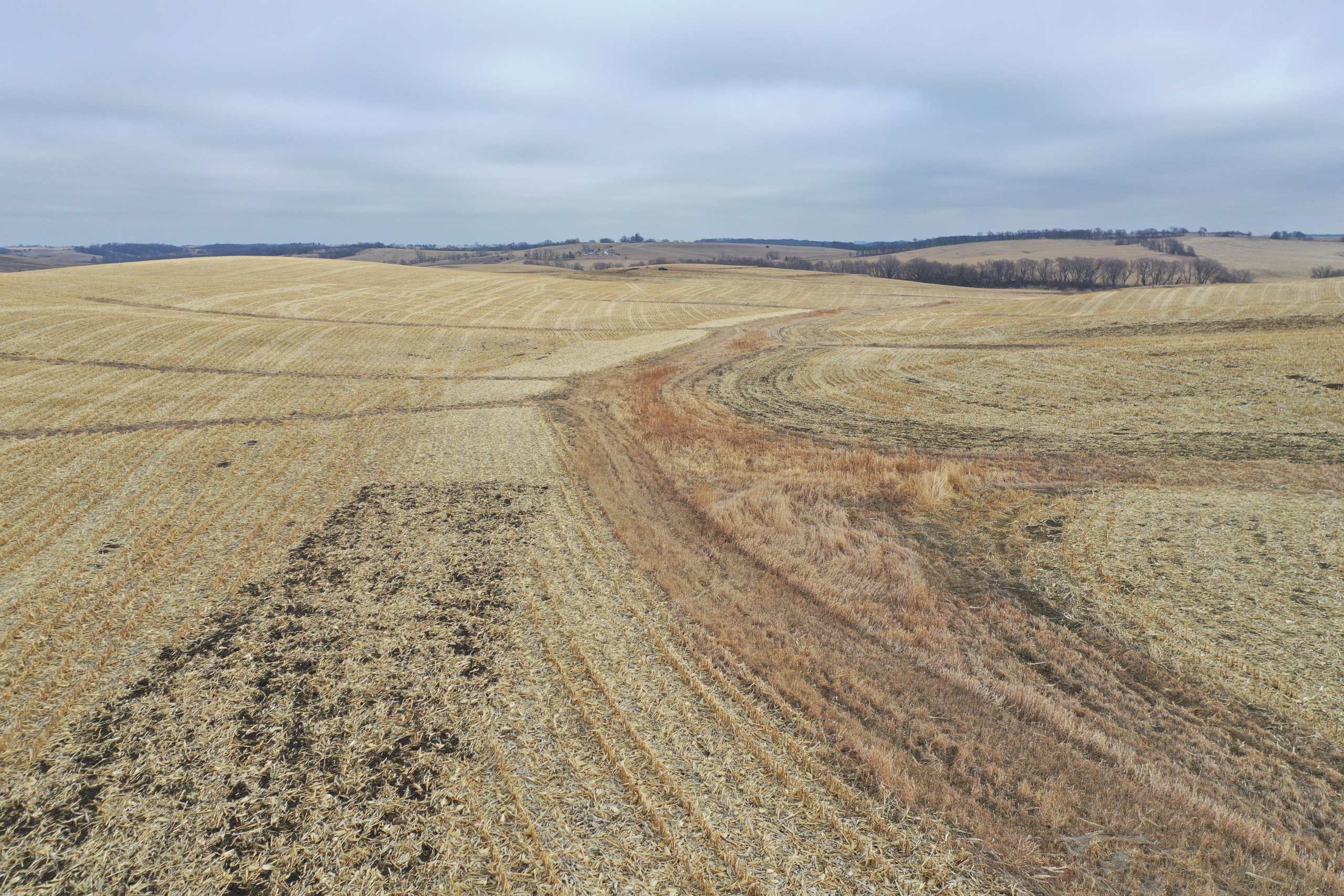auctions-land-guthrie-county-iowa-80-acres-listing-number-16666-DJI_0808-5.jpg