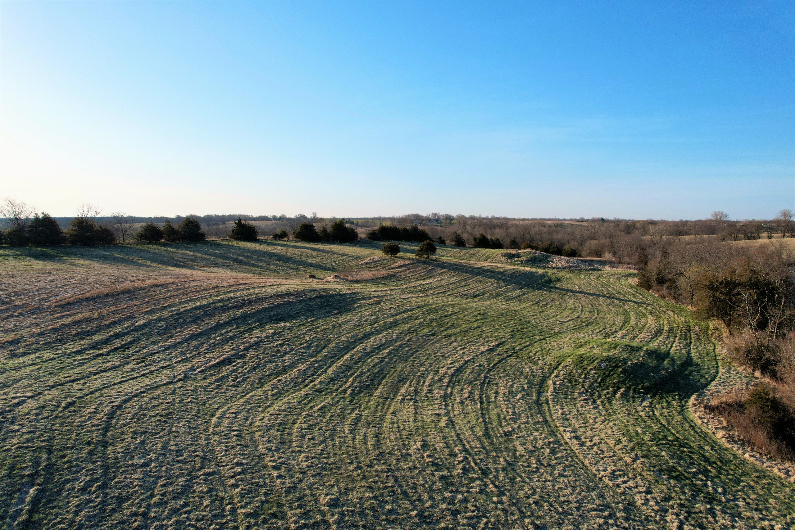land-appanoose-county-iowa-23-acres-listing-number-16667-Copy of Copy of DJI_0276-1.jpg