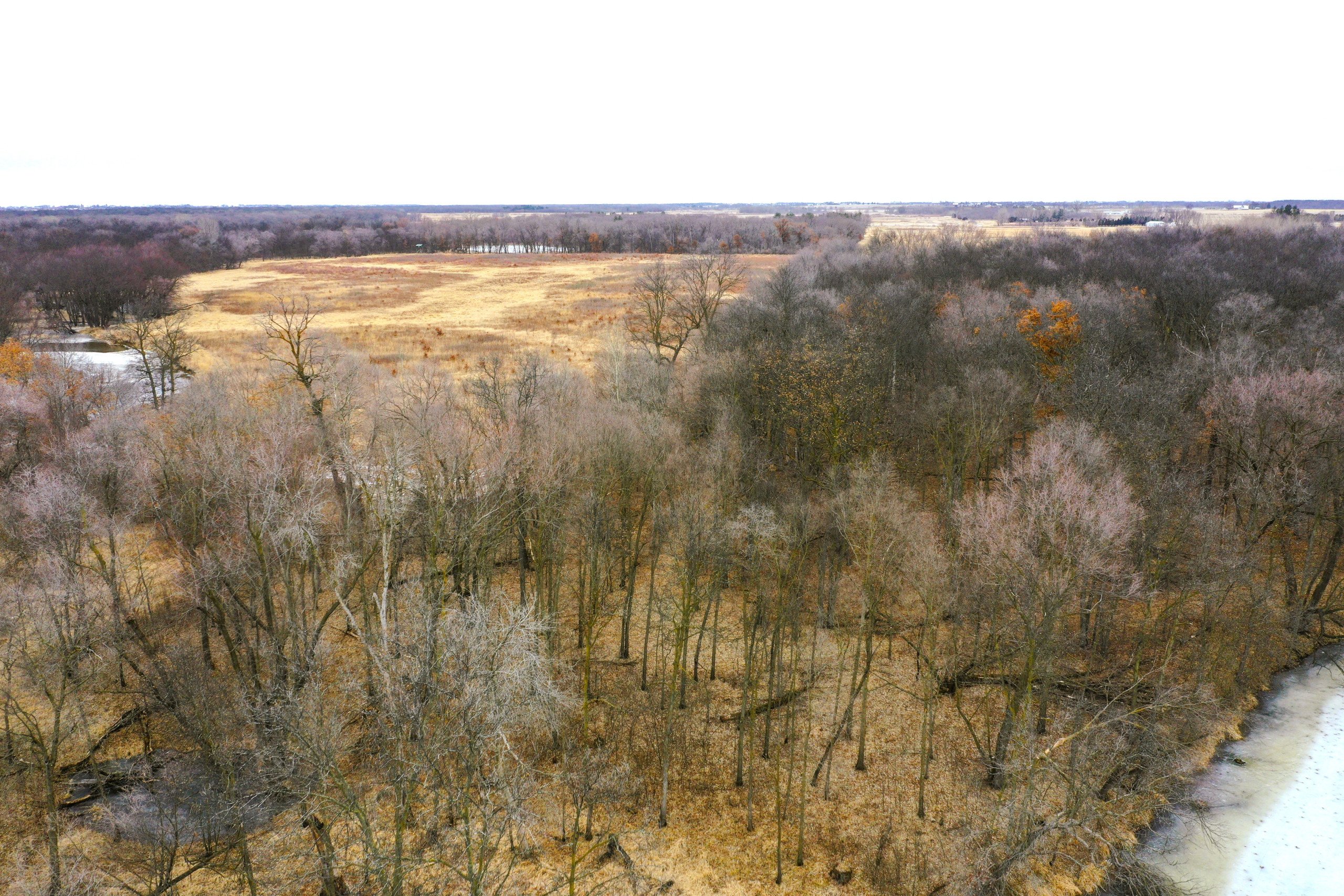 land-bremer-county-iowa-125-acres-listing-number-16673-13-0.jpg