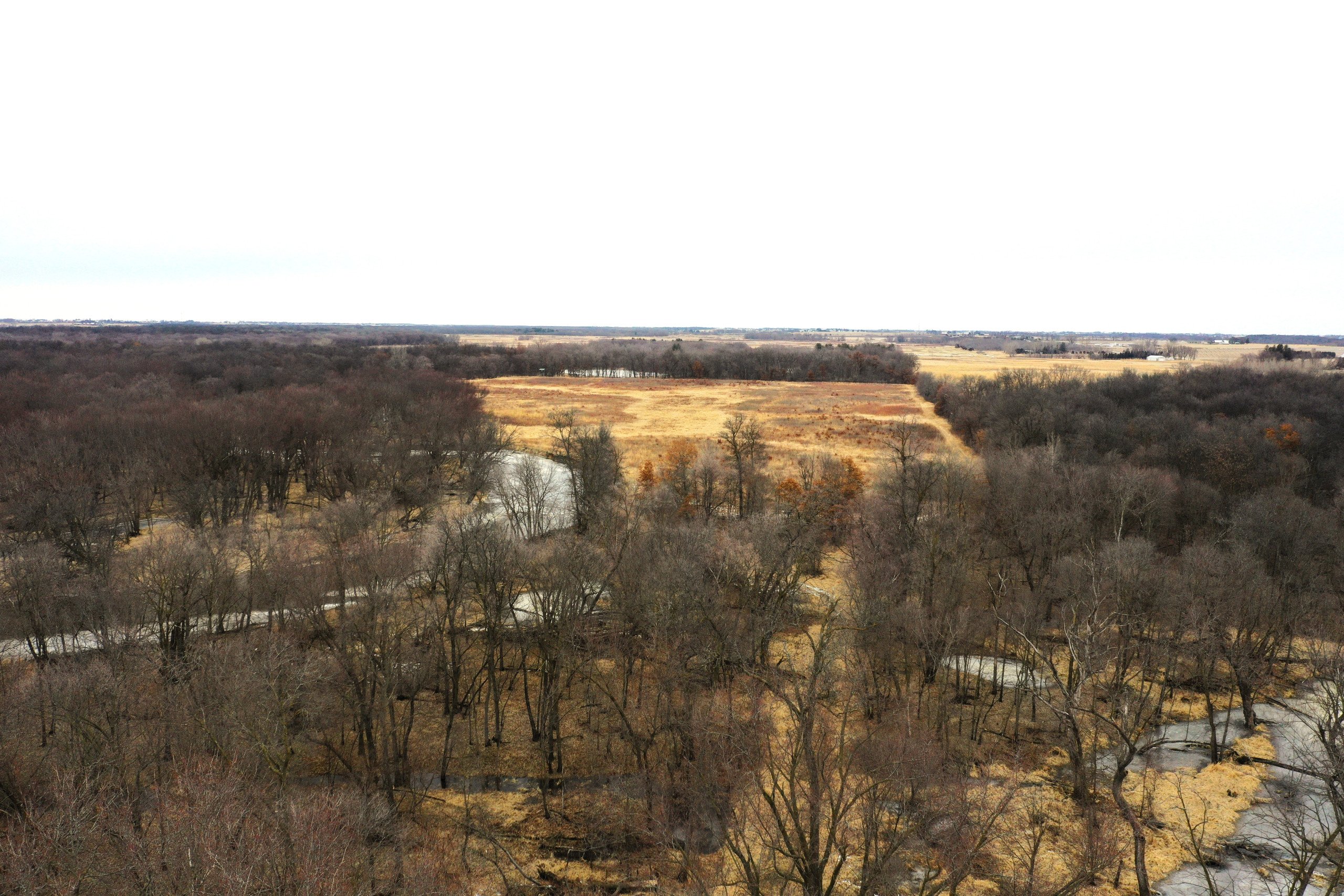 land-bremer-county-iowa-125-acres-listing-number-16673-3-0.jpg
