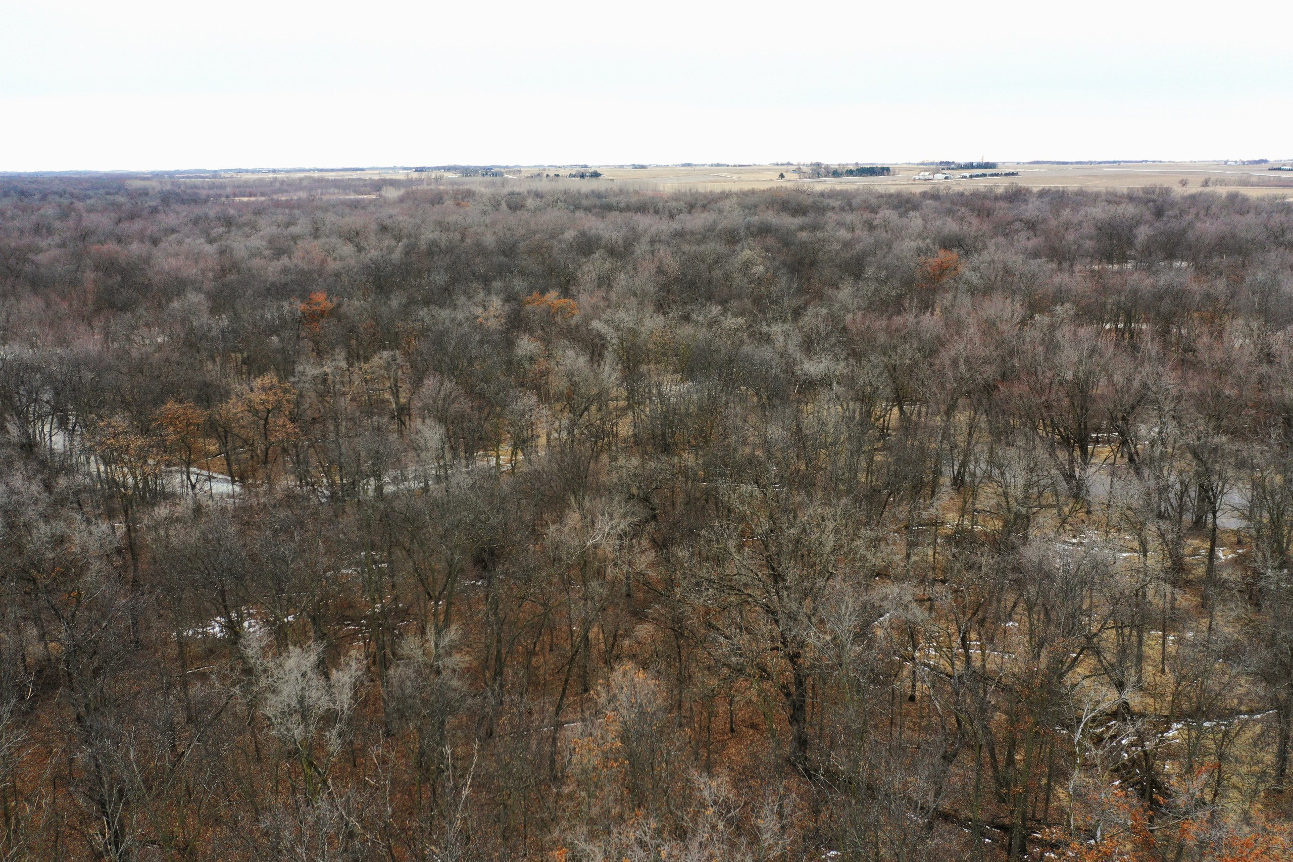 land-bremer-county-iowa-125-acres-listing-number-16673-4-0.jpg