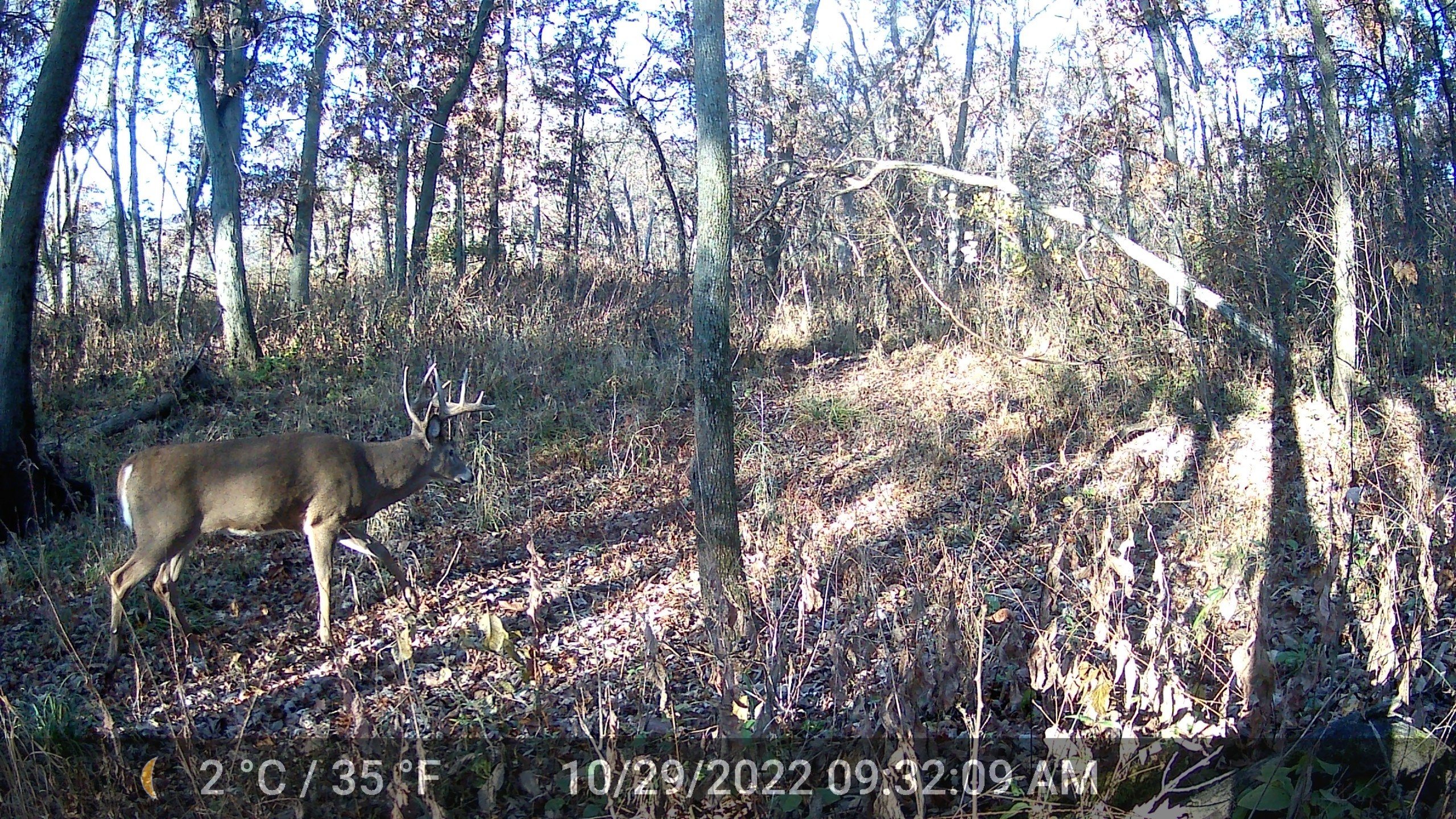 land-bremer-county-iowa-125-acres-listing-number-16673-DSCF0222-1.jpg