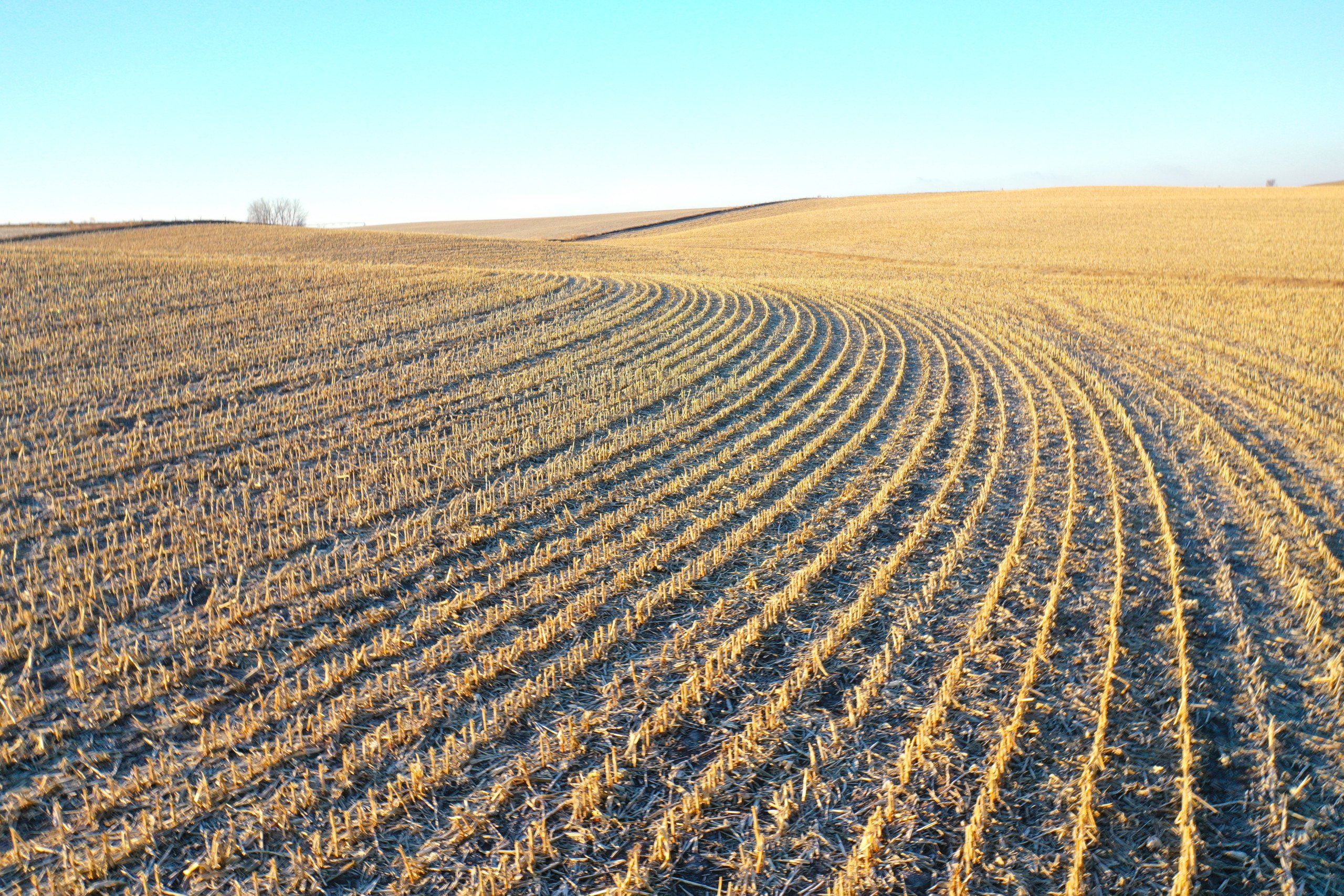 land-union-county-south-dakota-300-acres-listing-number-16677-DJI_0021-1-1.jpg