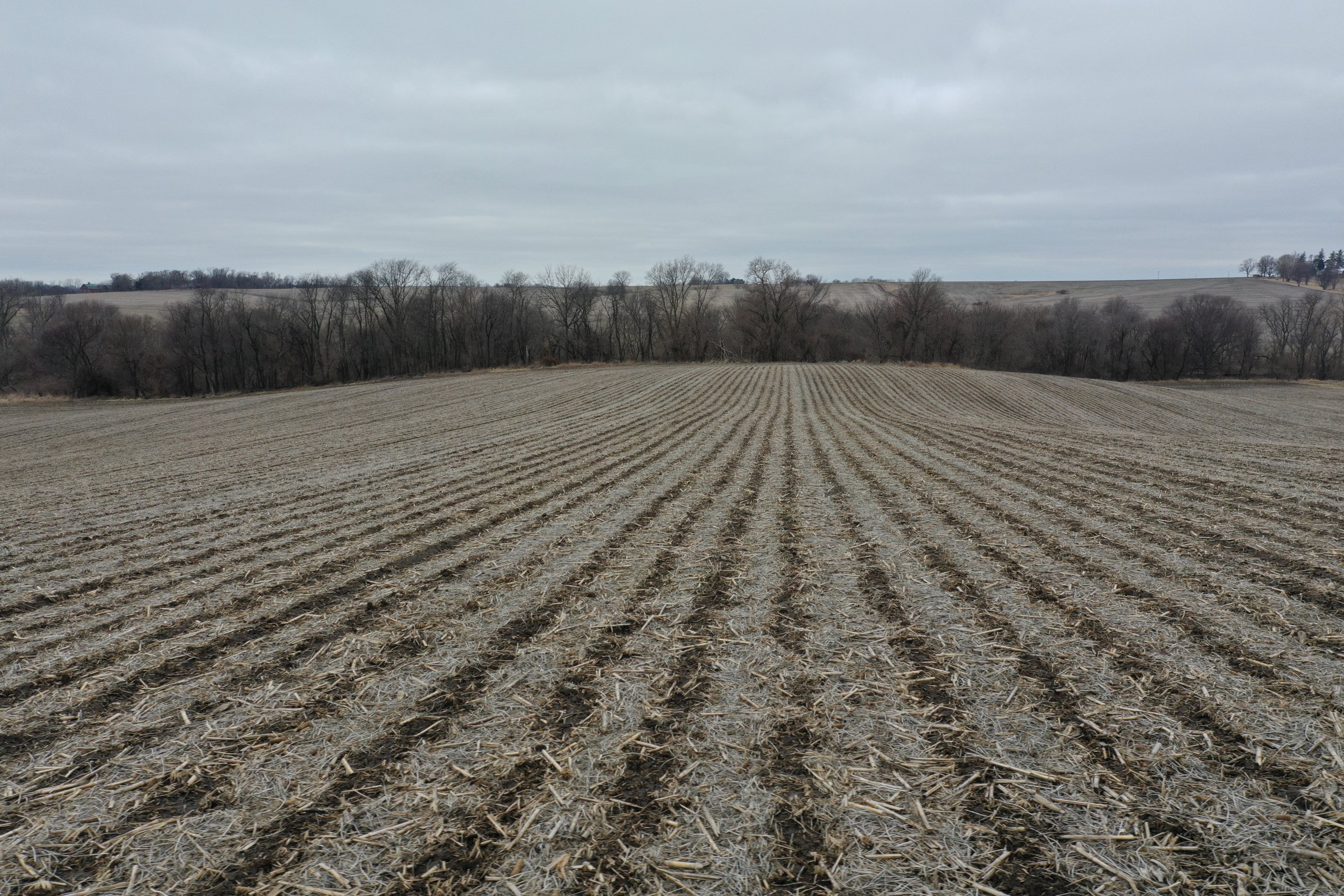 Jasper County, Iowa Farmland For Sale