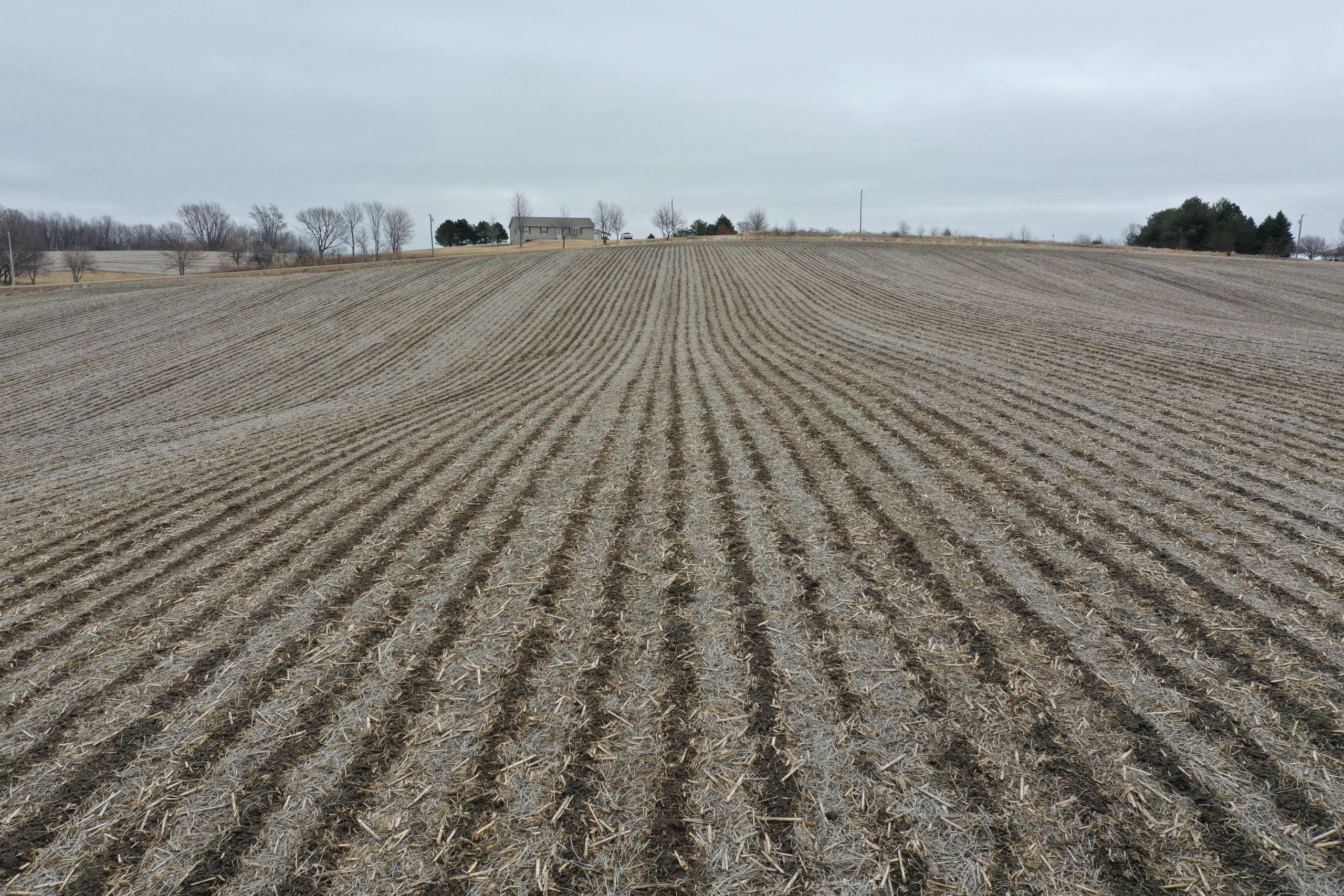 Jasper County, Iowa Farmland For Sale