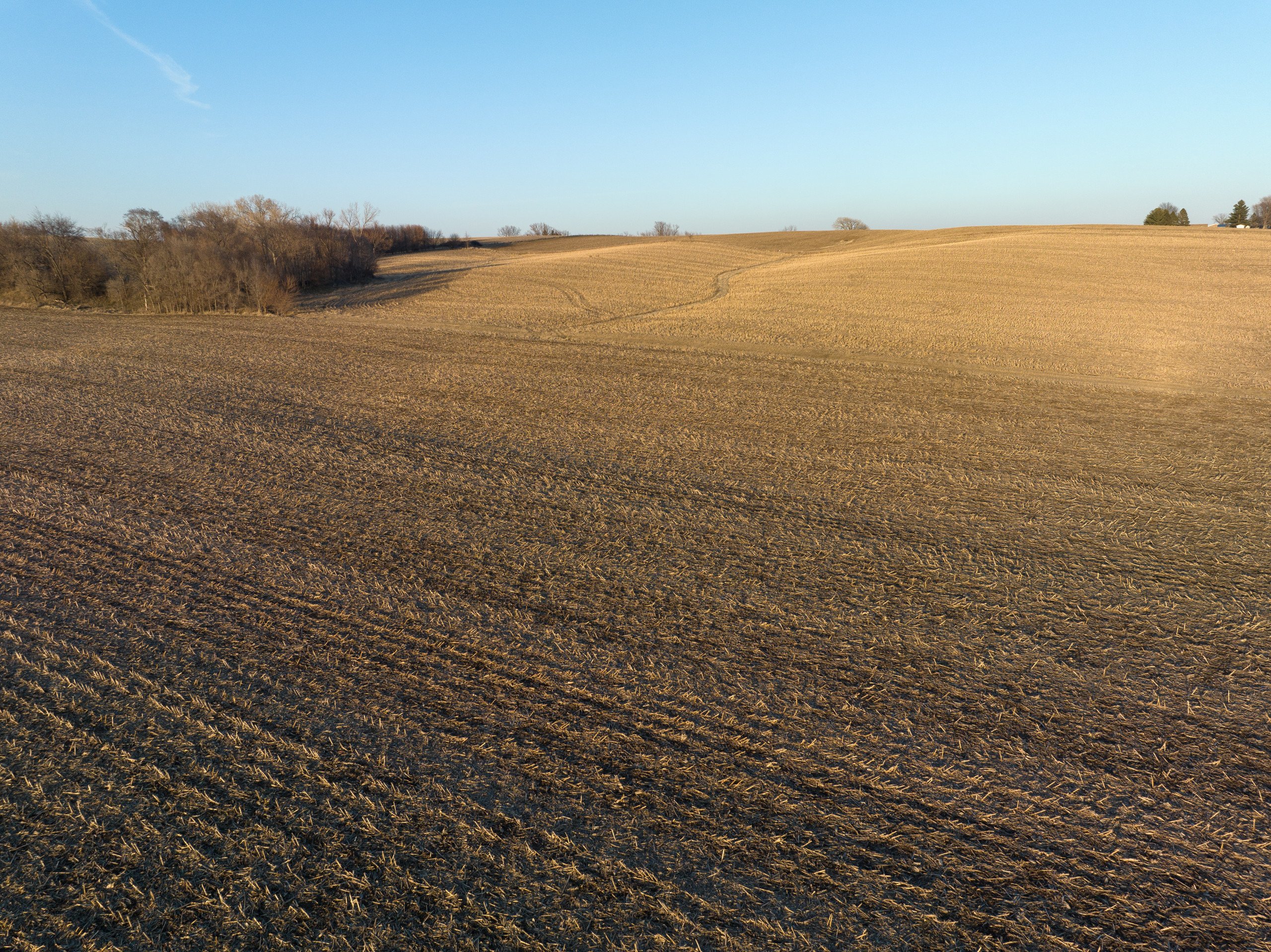 Jasper County, Iowa Farmland For Sale