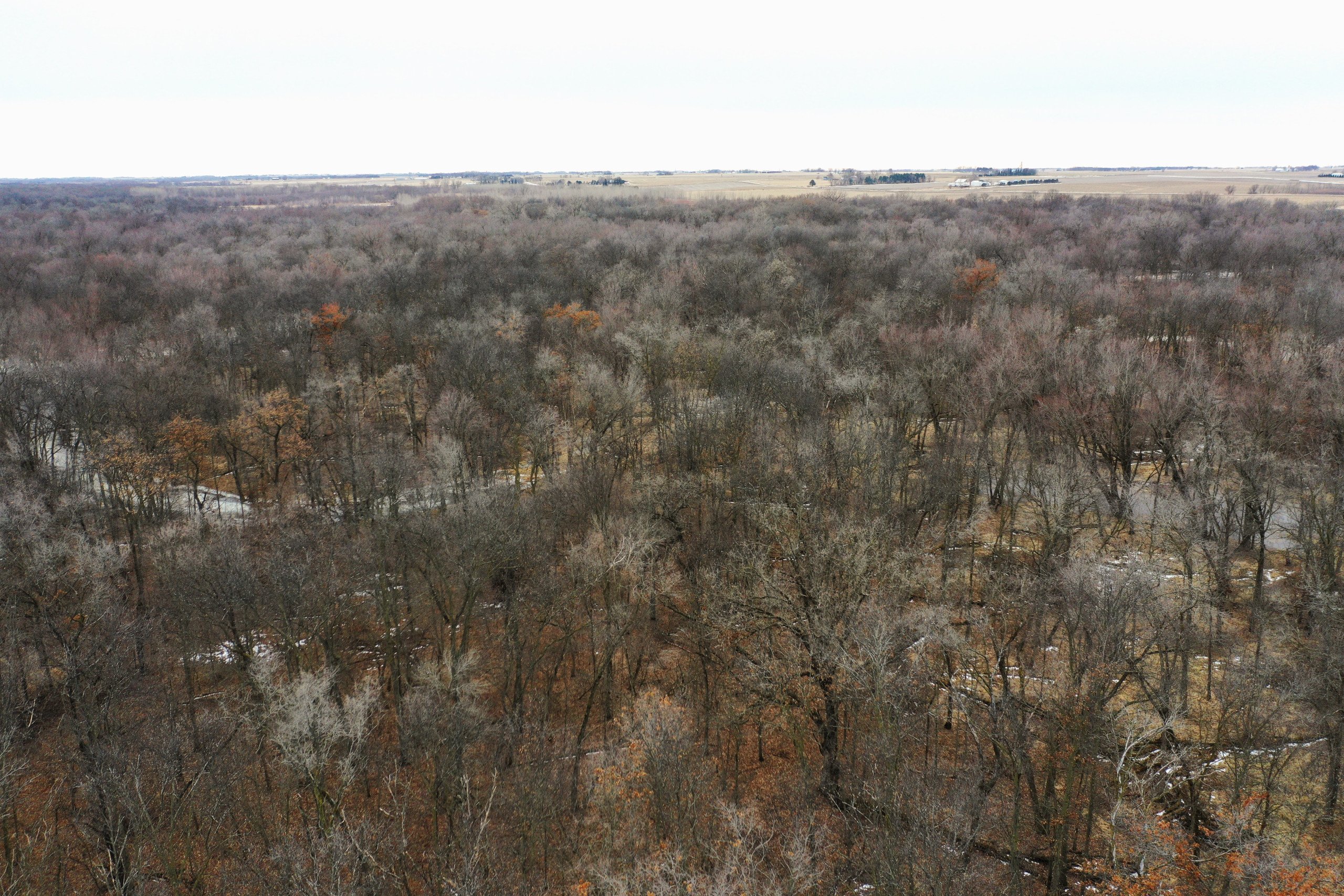 land-bremer-county-iowa-217-acres-listing-number-16682-4-3.jpg
