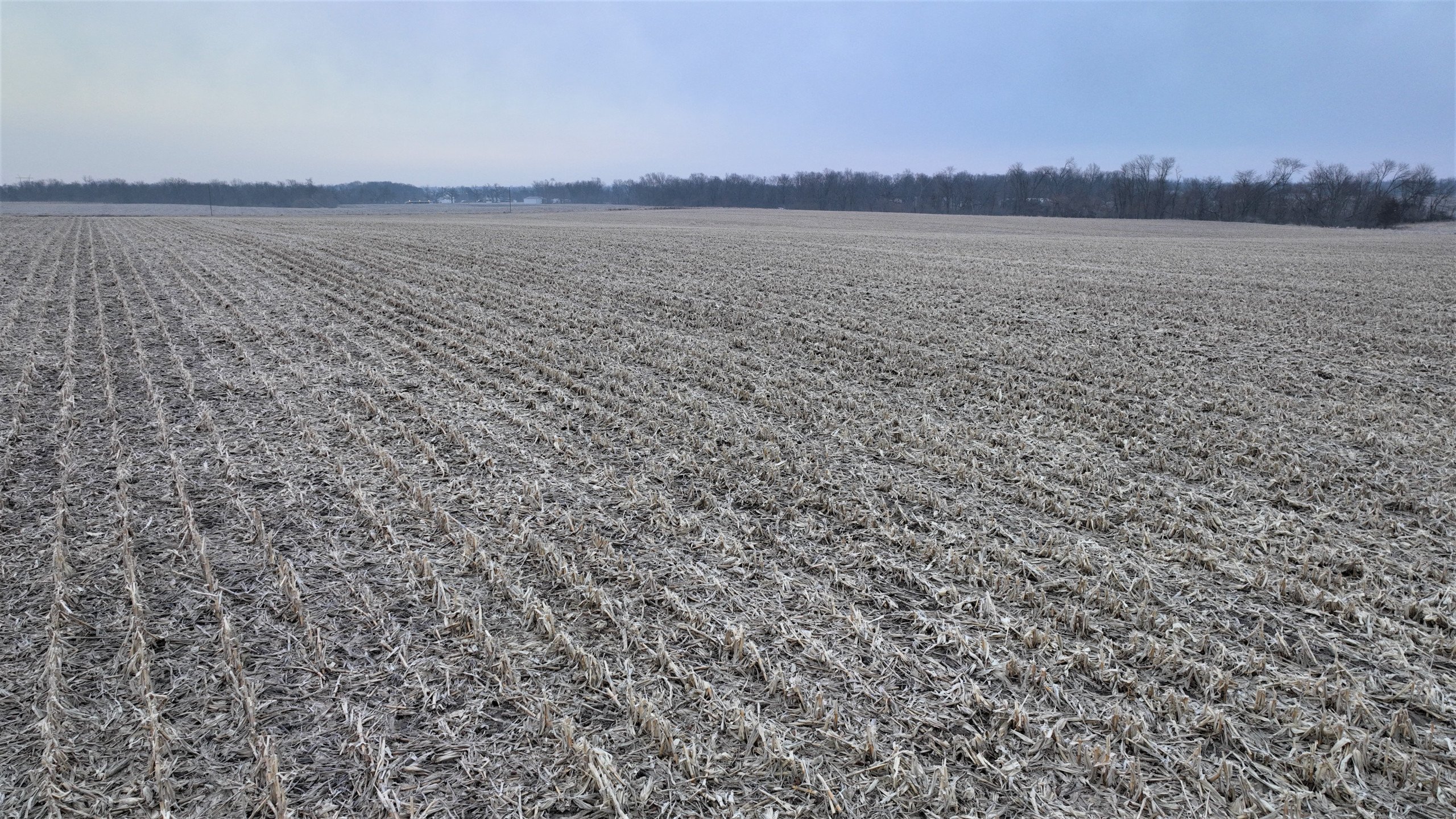 auctions-land-boone-county-iowa-40-acres-listing-number-16701-Drone ground 13-2.jpg