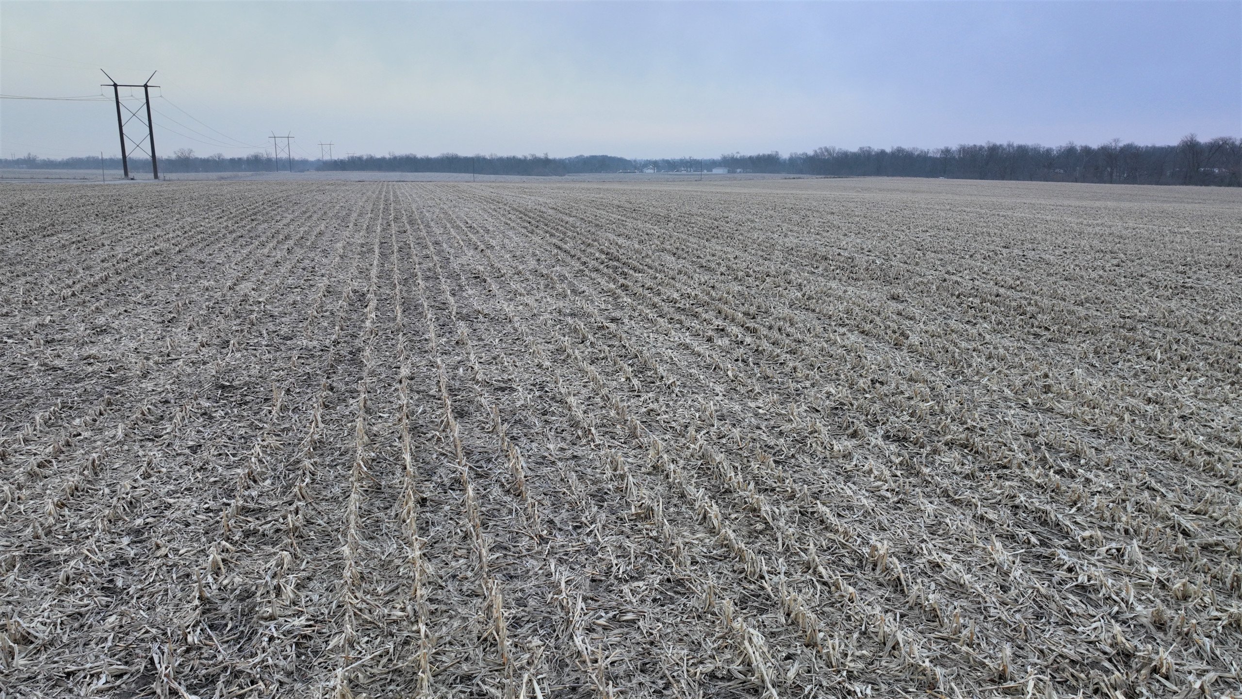 auctions-land-boone-county-iowa-40-acres-listing-number-16701-Drone ground 14-3.jpg