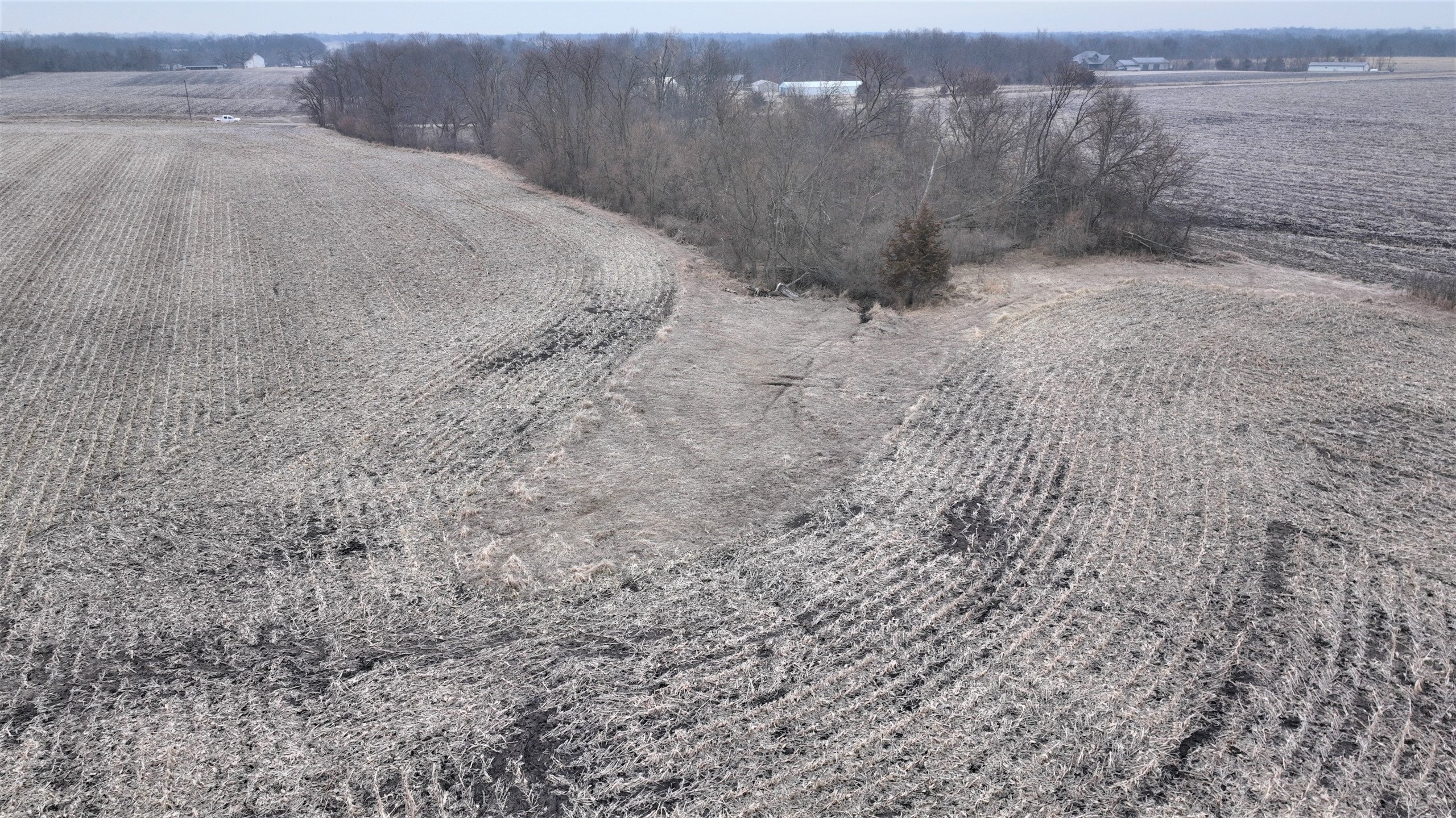 auctions-land-boone-county-iowa-40-acres-listing-number-16701-Drone ground 15-4.jpg
