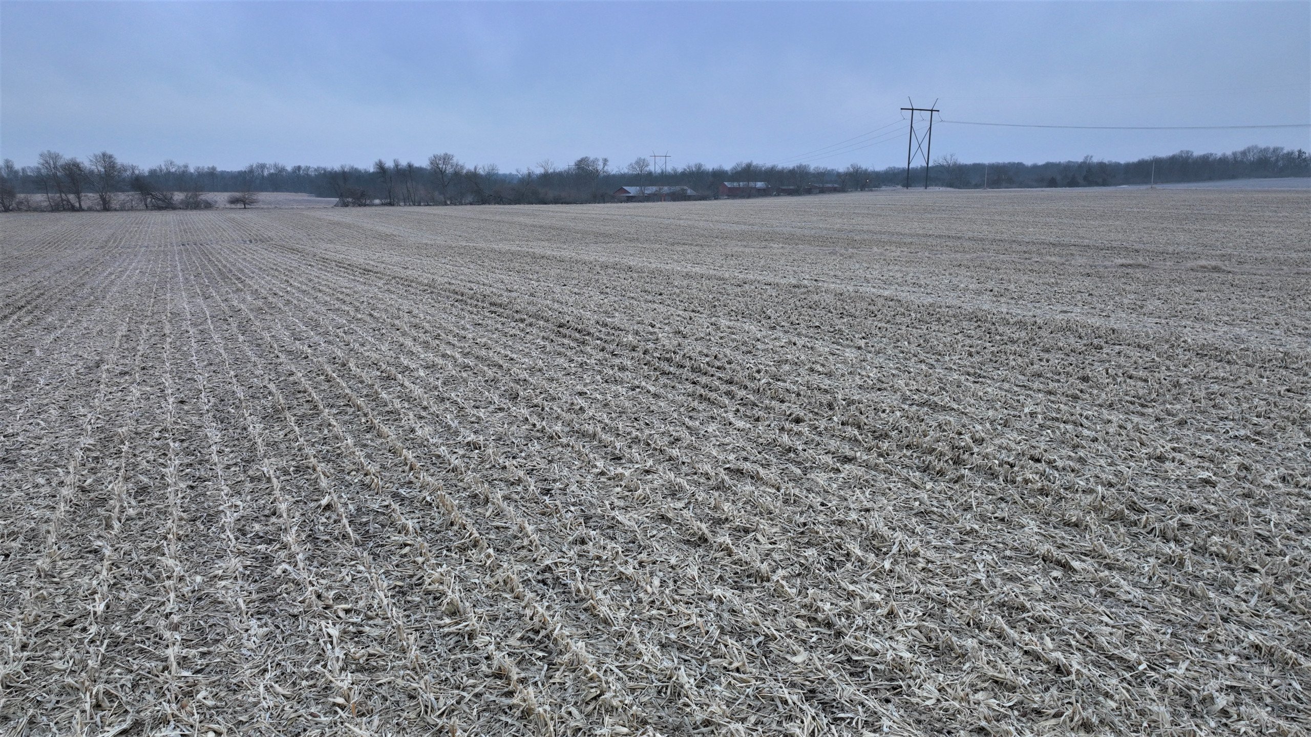 auctions-land-boone-county-iowa-40-acres-listing-number-16701-Drone ground 6-0.jpg