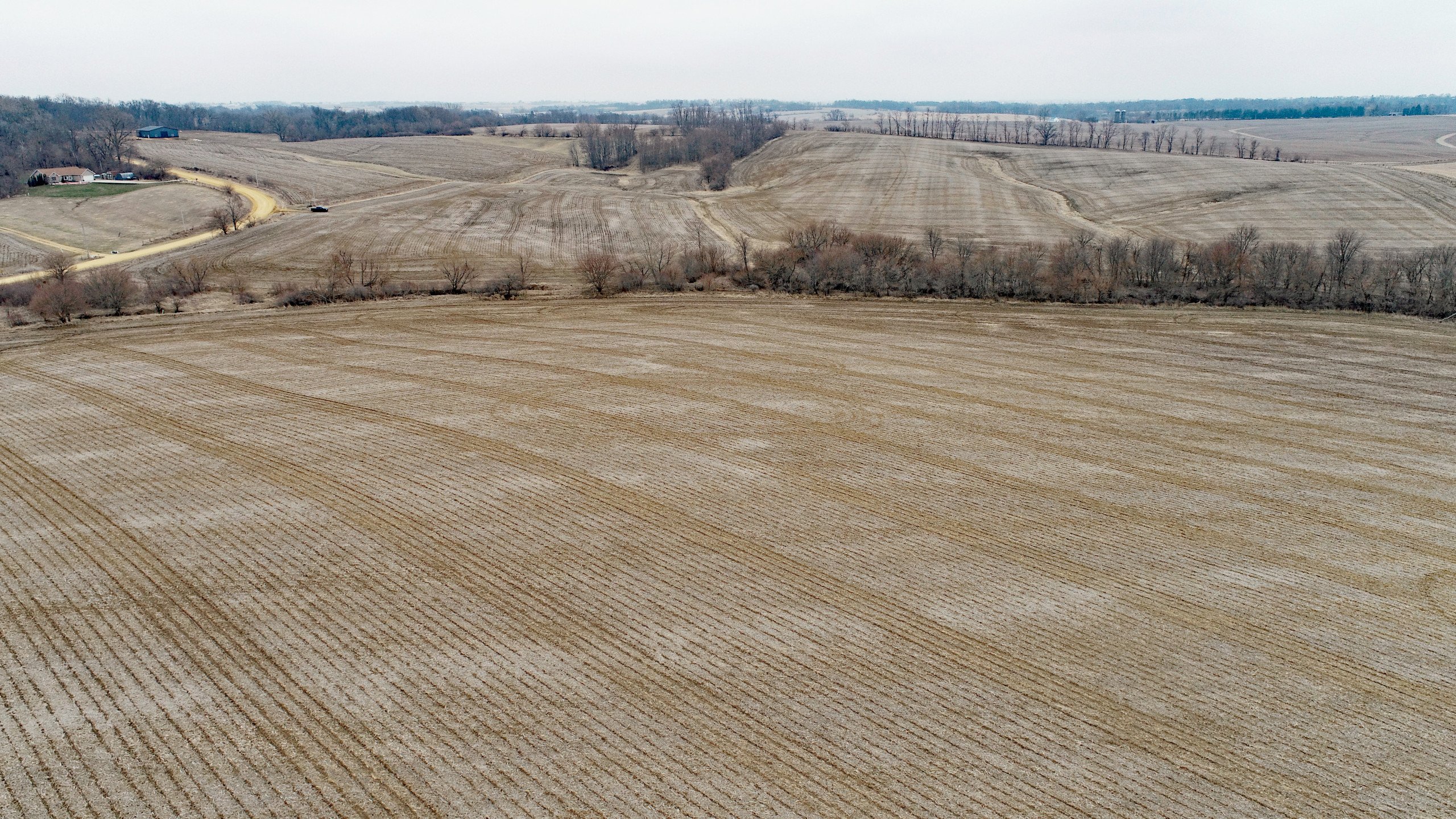 auctions-land-clinton-county-iowa-150-acres-listing-number-16711-DJI_0661-2.jpg