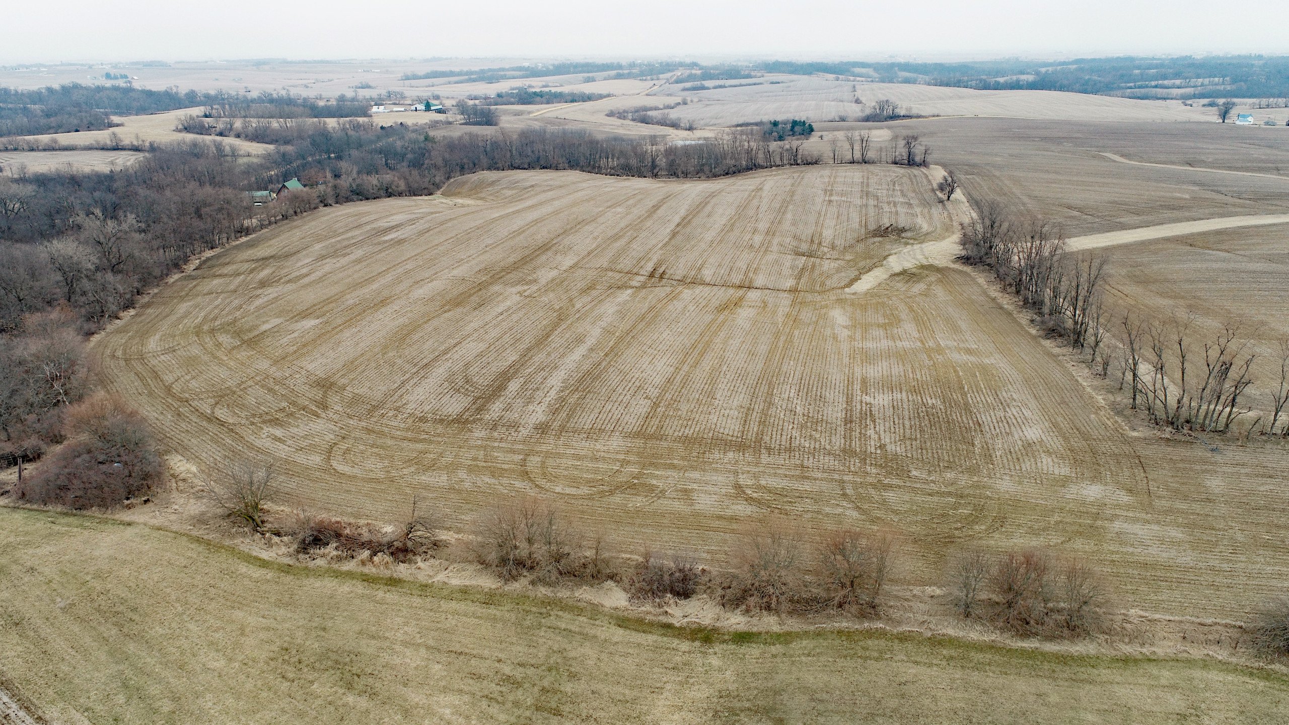 auctions-land-clinton-county-iowa-150-acres-listing-number-16711-DJI_0662-3.jpg