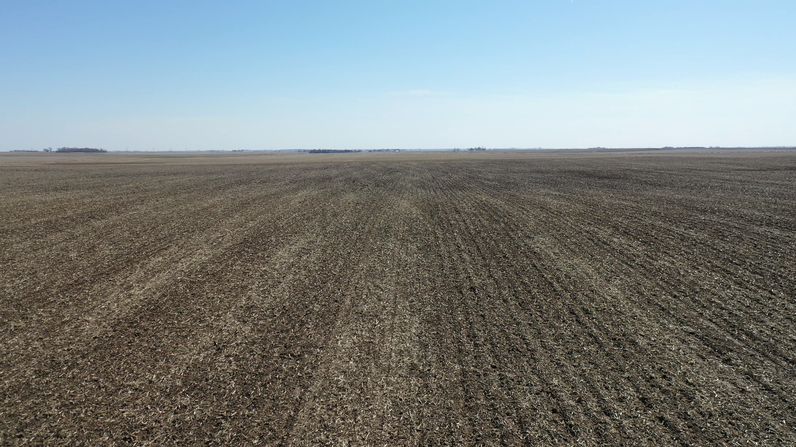 Greene County, Iowa Farmland For Sale