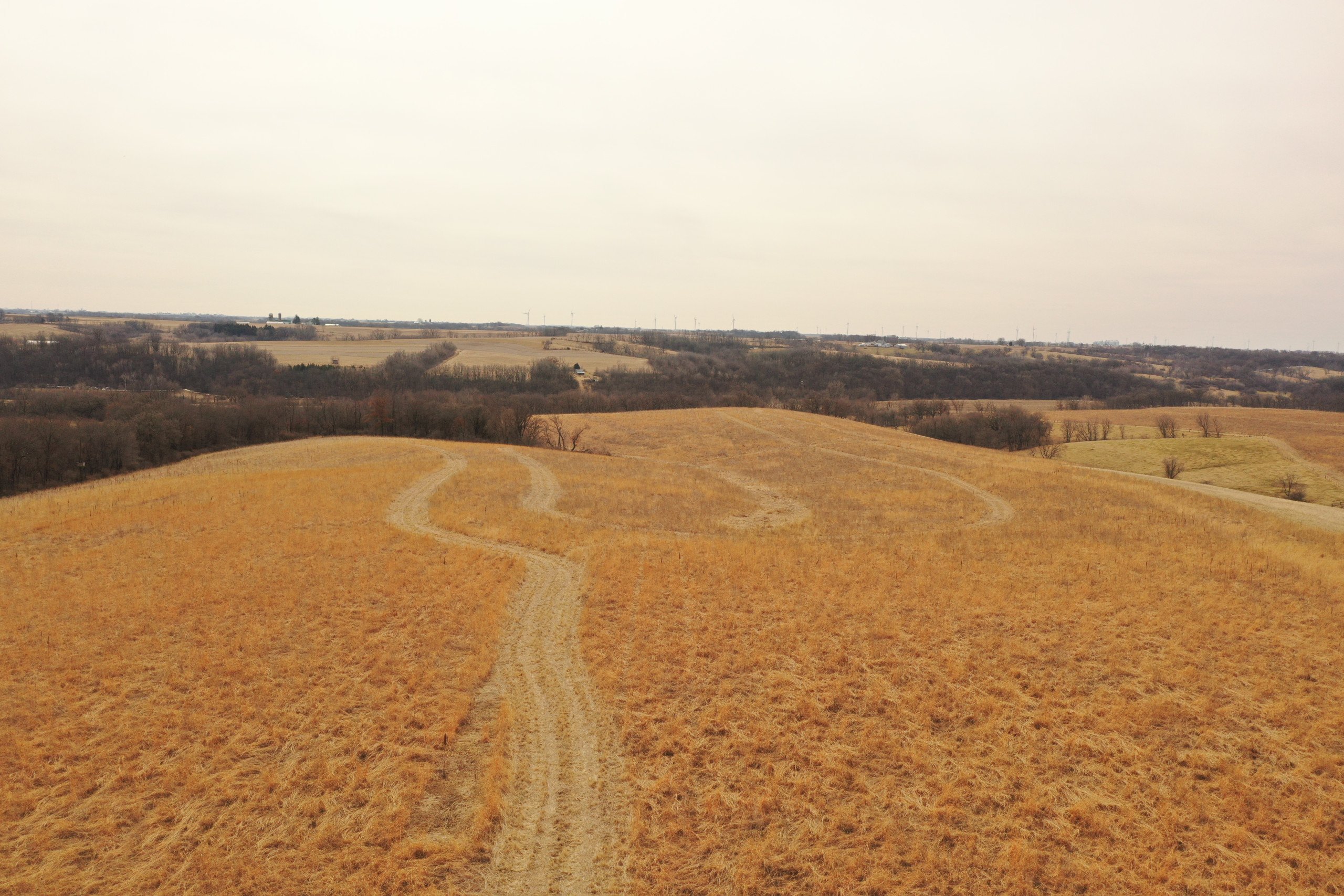 lafayette-county-wisconsin-191-acres-listing-number-16730-DJI_0042-1.jpg