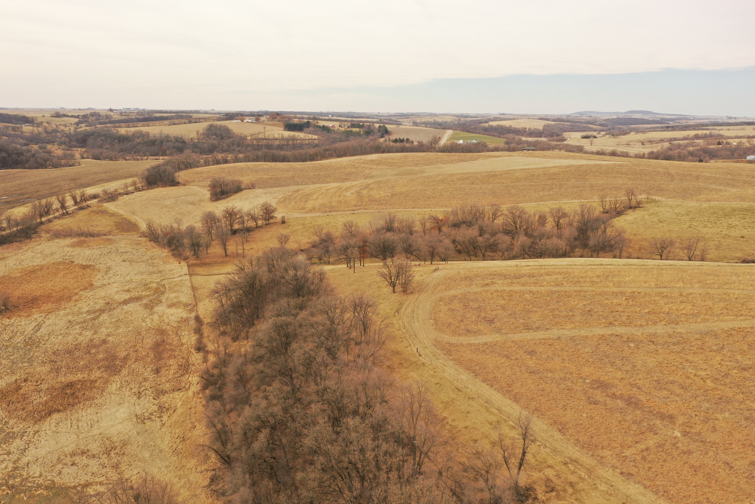 lafayette-county-wisconsin-191-acres-listing-number-16730-DJI_0048-0.jpg