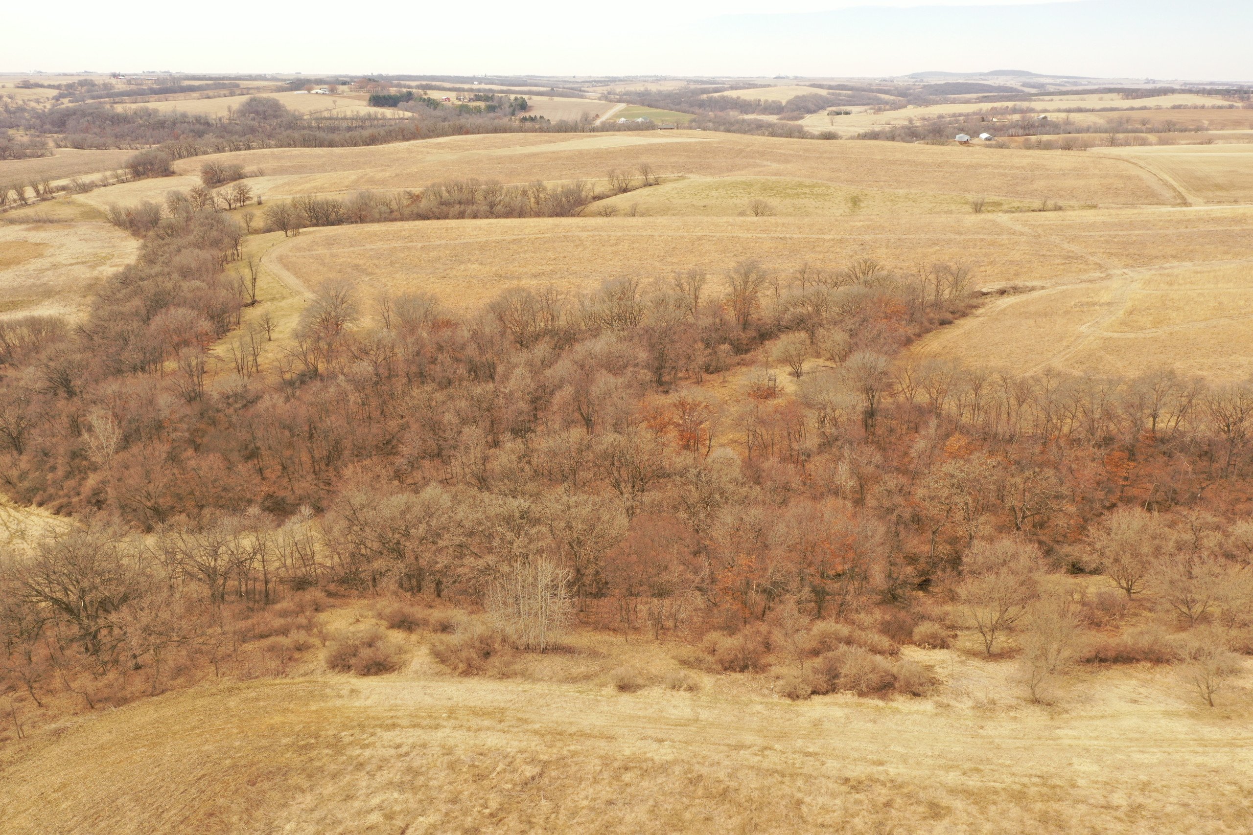 lafayette-county-wisconsin-191-acres-listing-number-16730-DJI_0051-1.jpg