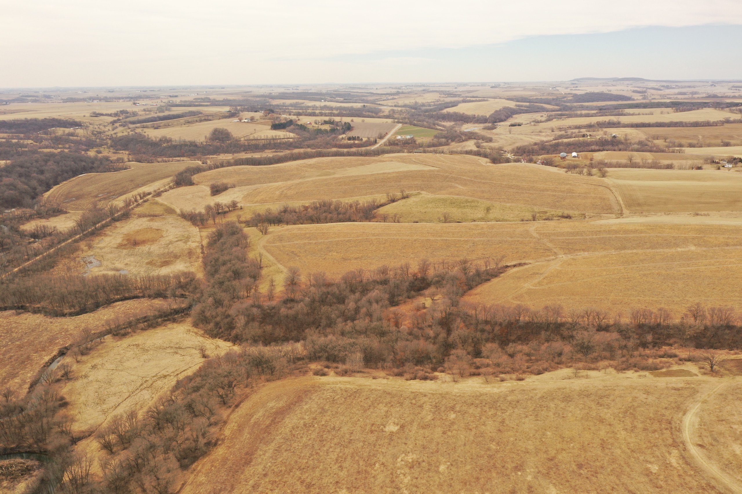 lafayette-county-wisconsin-191-acres-listing-number-16730-DJI_0065-3.jpg