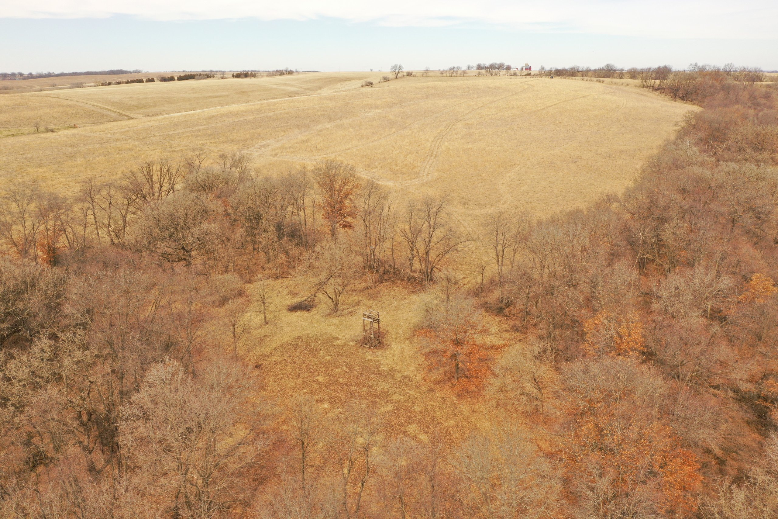 lafayette-county-wisconsin-191-acres-listing-number-16730-DJI_0078-1.jpg