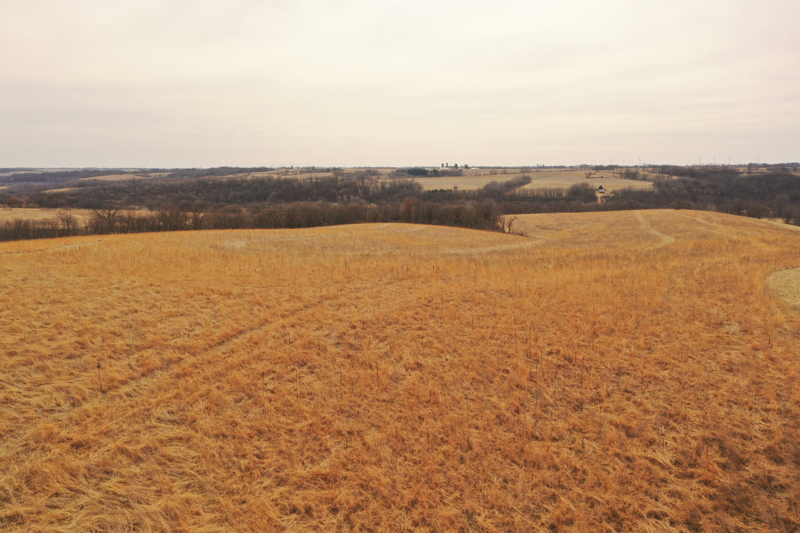 lafayette-county-wisconsin-191-acres-listing-number-16730-DJI_0092-3.jpg