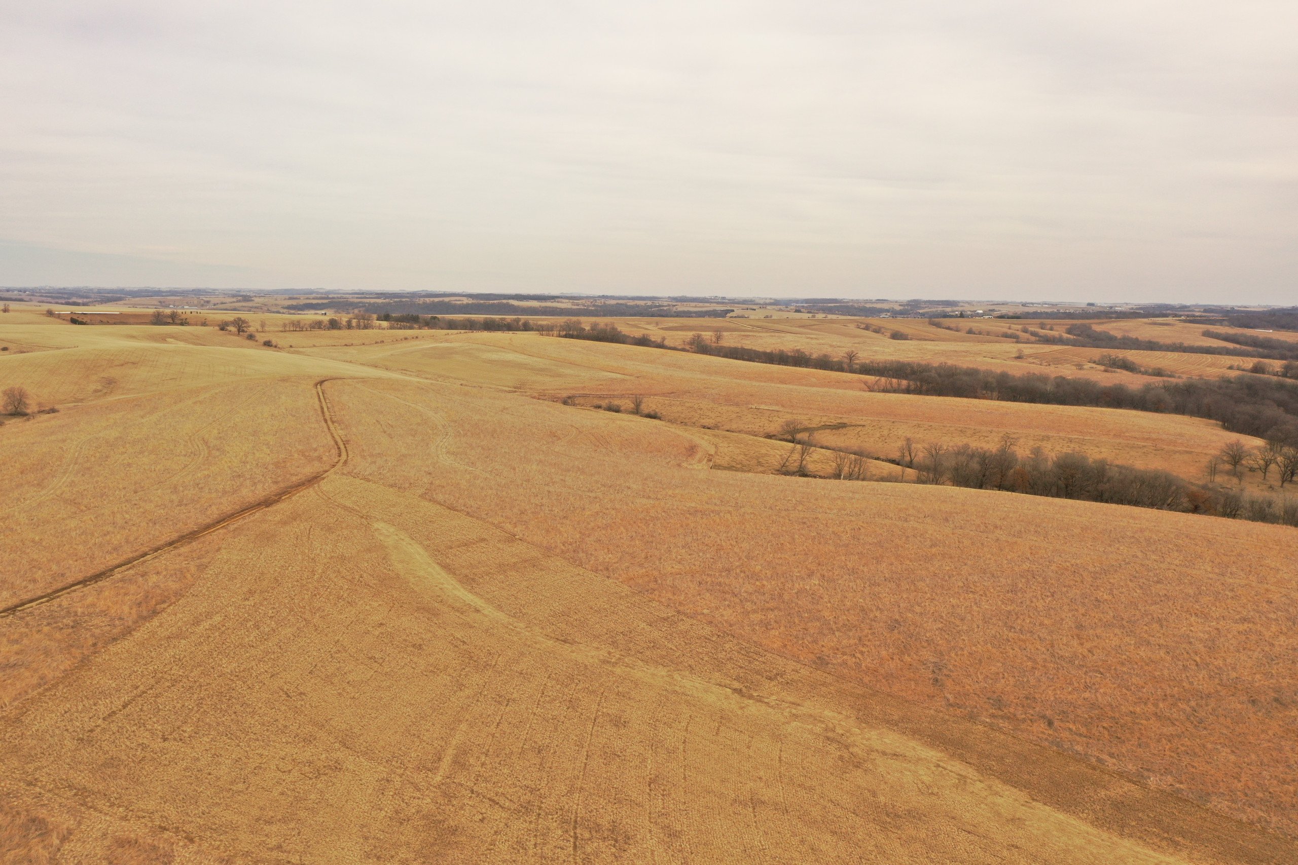 lafayette-county-wisconsin-191-acres-listing-number-16730-DJI_0110-1.jpg