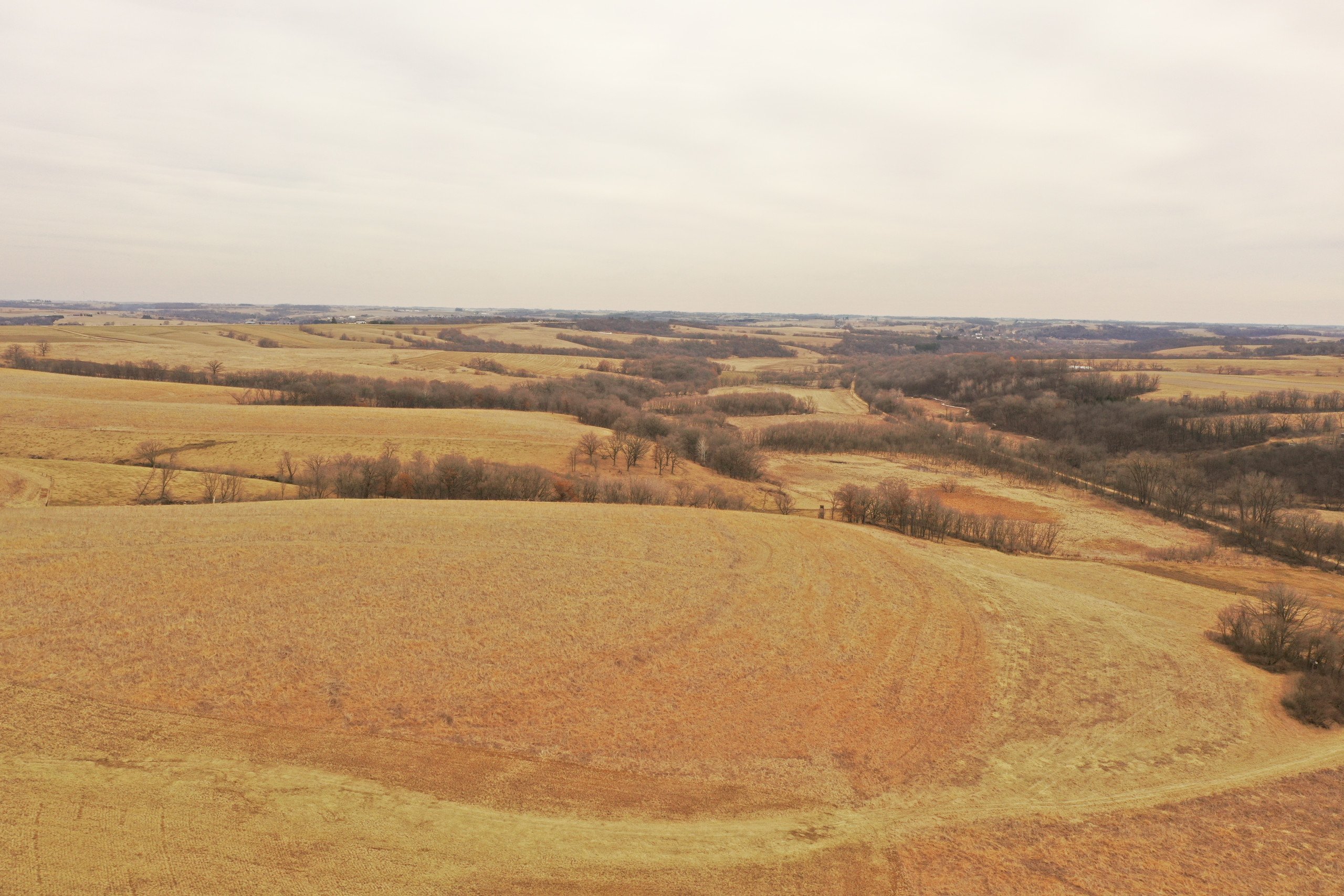 lafayette-county-wisconsin-191-acres-listing-number-16730-DJI_0111-2.jpg