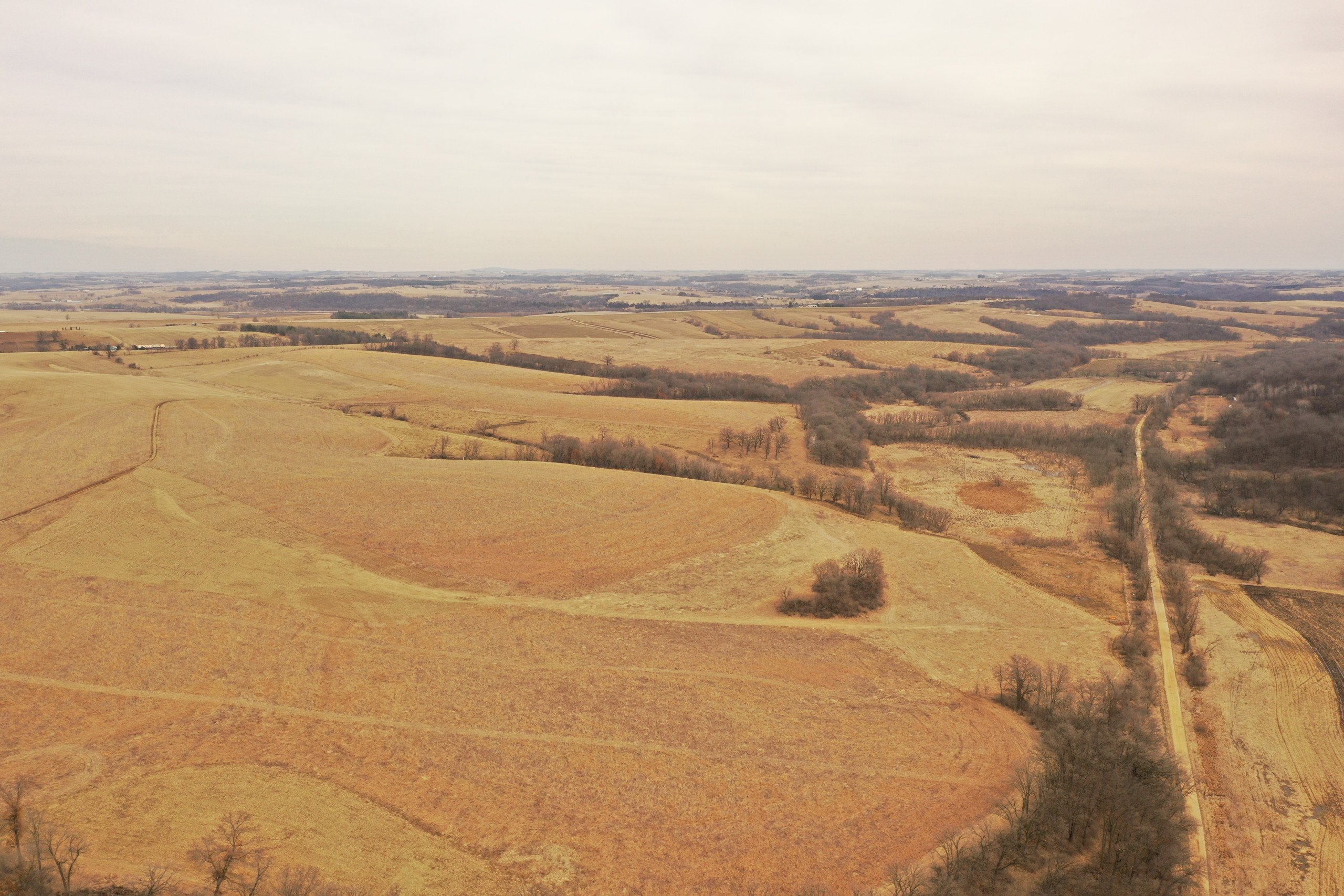 lafayette-county-wisconsin-191-acres-listing-number-16730-DJI_0119-0.jpg