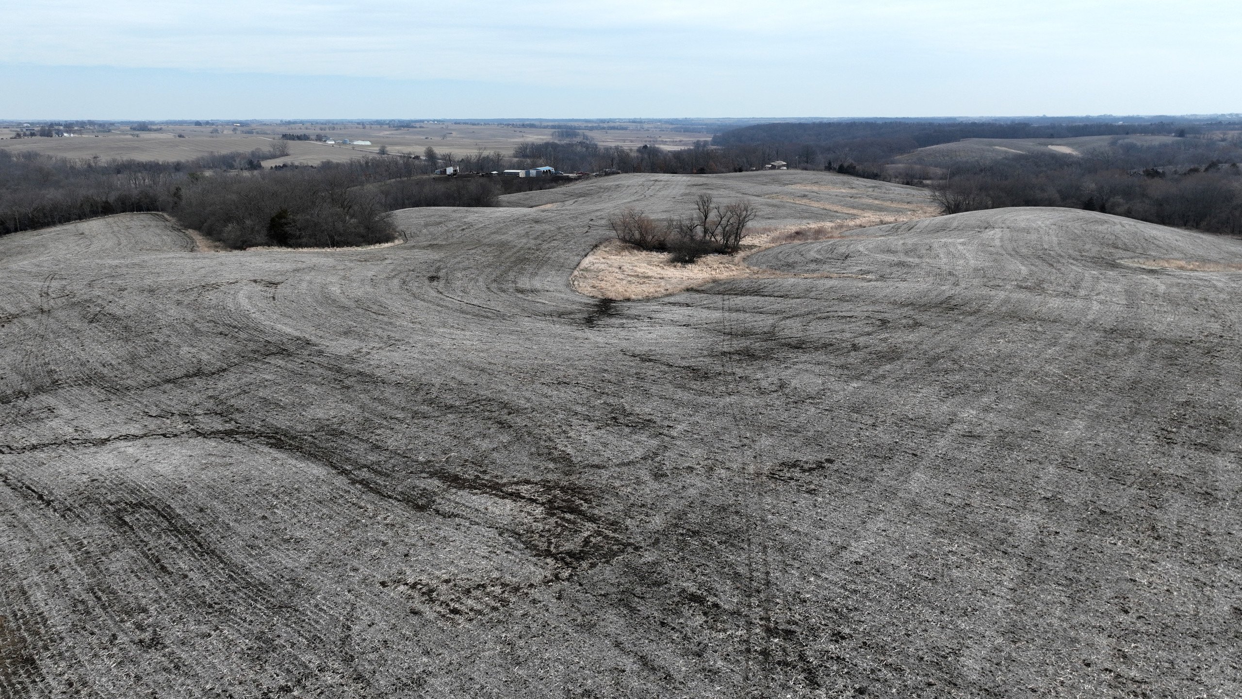 land-wayne-county-iowa-73-acres-listing-number-16733-DJI_0299-0.jpg