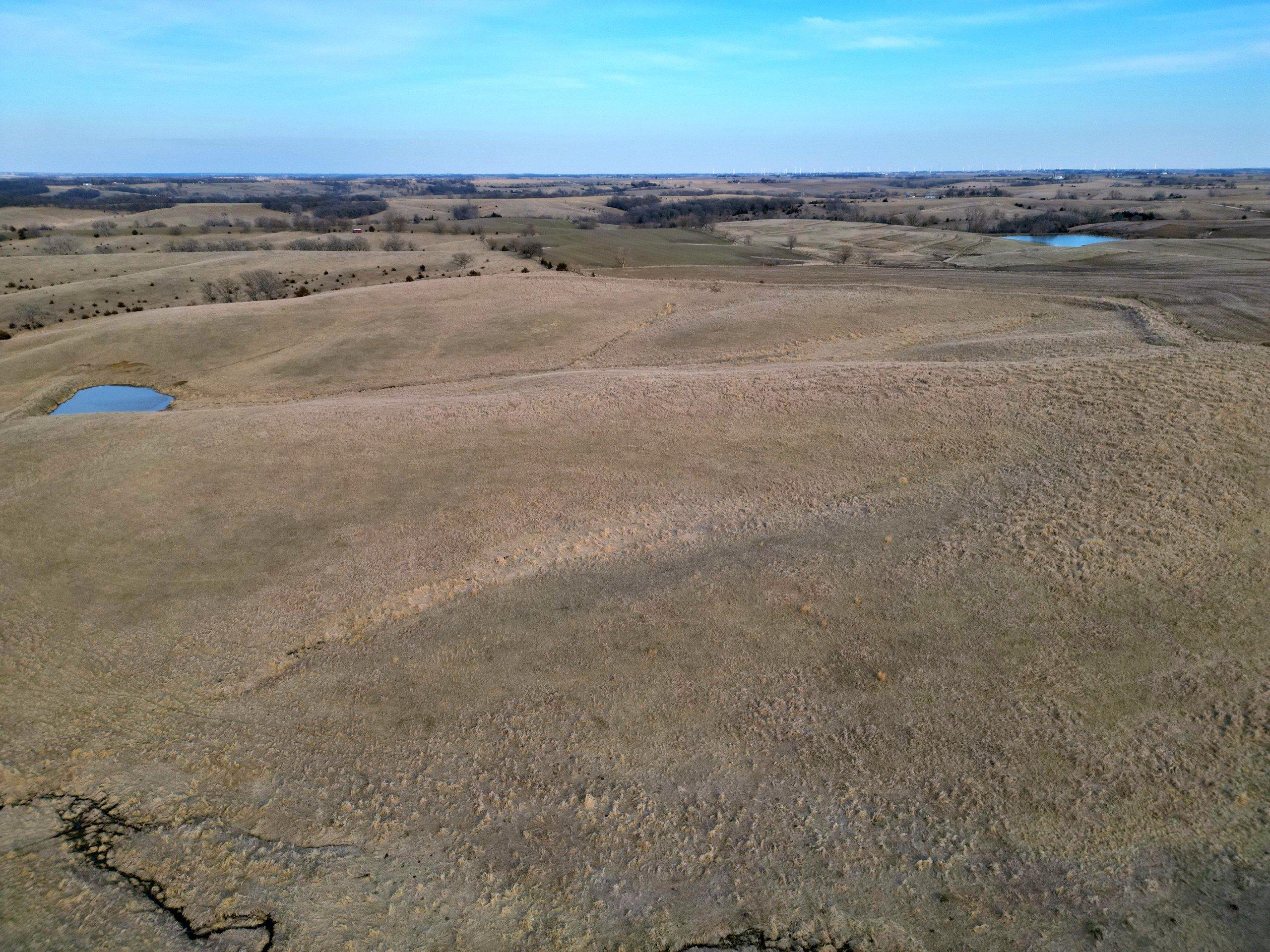 land-adair-county-iowa-34-acres-listing-number-16735-Grasty 34 12-1.jpg