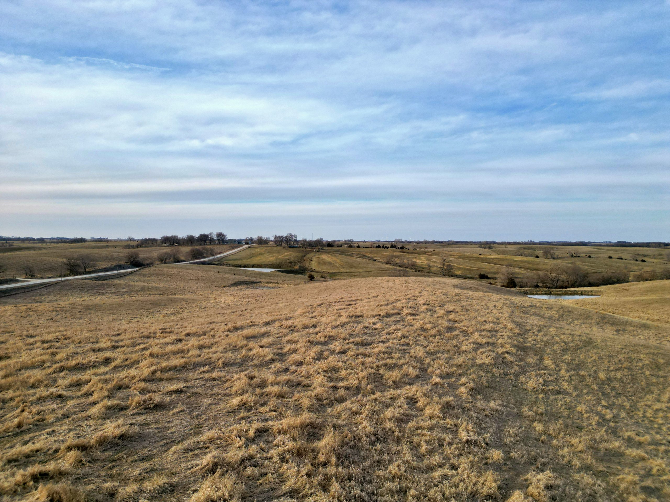 land-adair-county-iowa-34-acres-listing-number-16735-Grasty 34 13-2.jpg